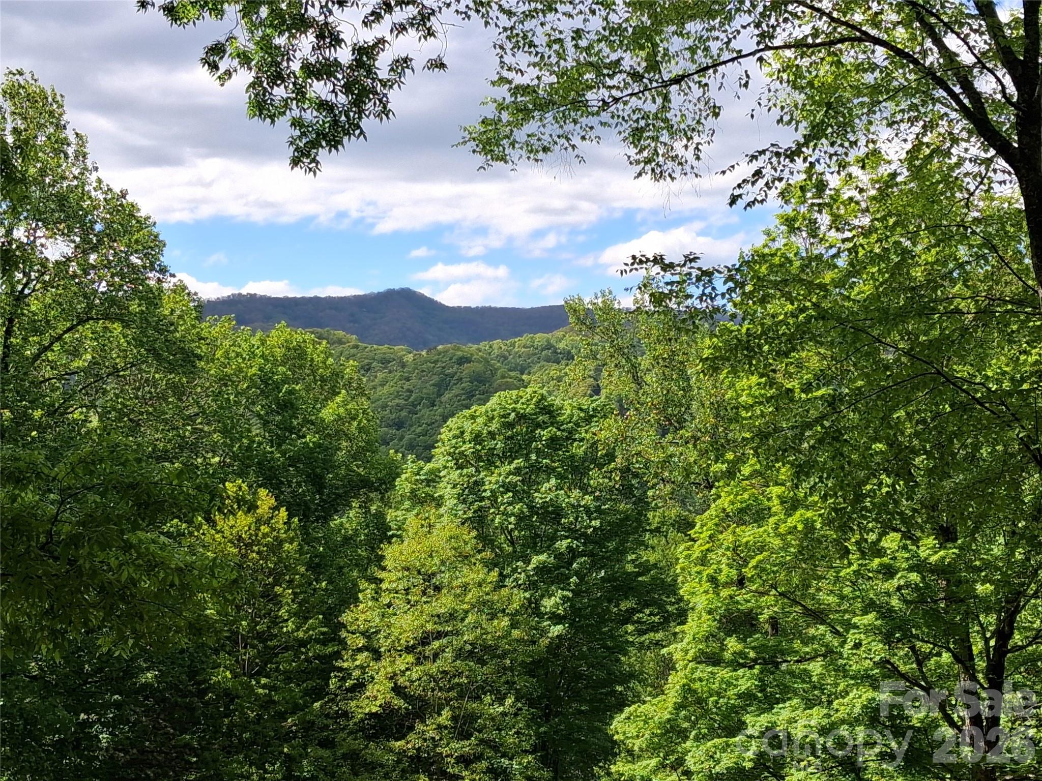 46 Hummingbird Drive — Maggie Valley