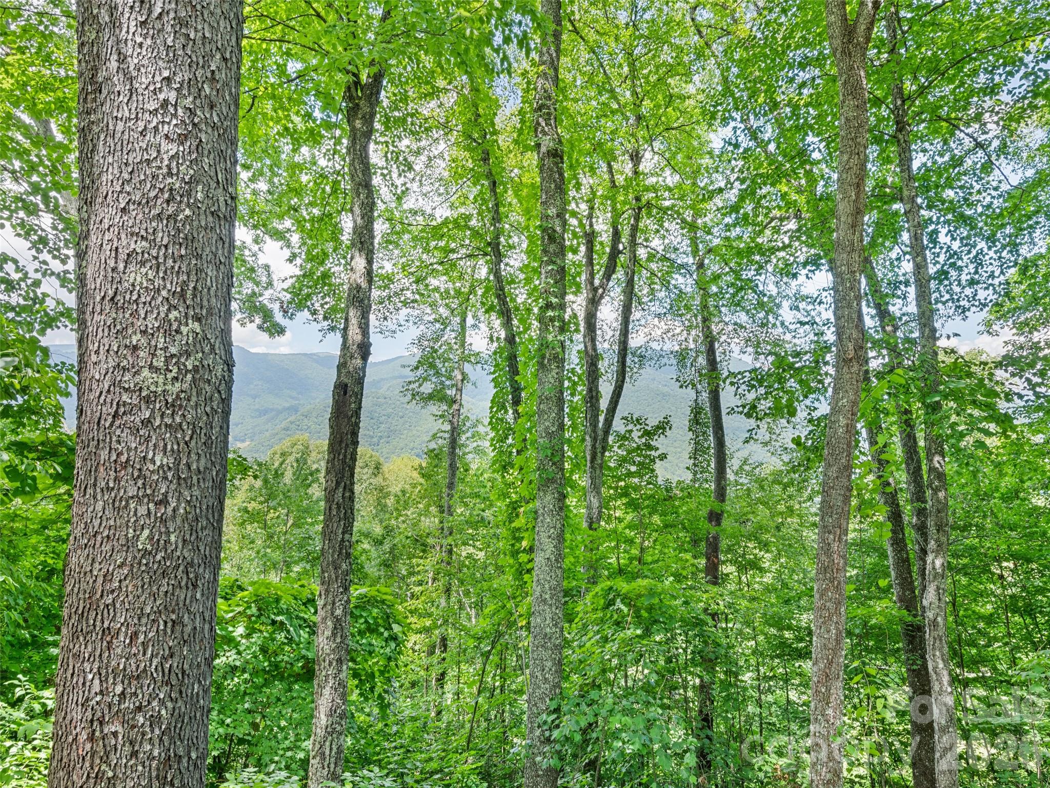 1672 Summit Drive — Maggie Valley
