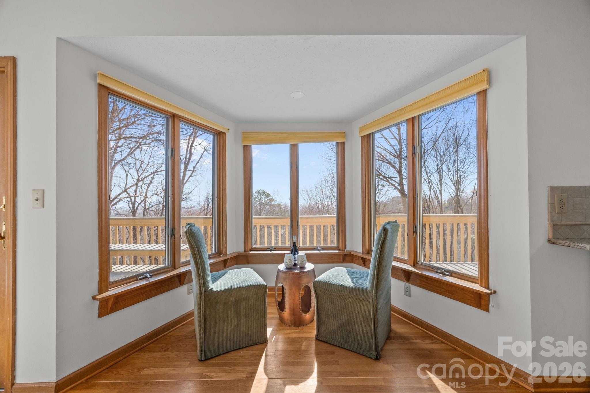 1105 High Vista Drive — Mills River