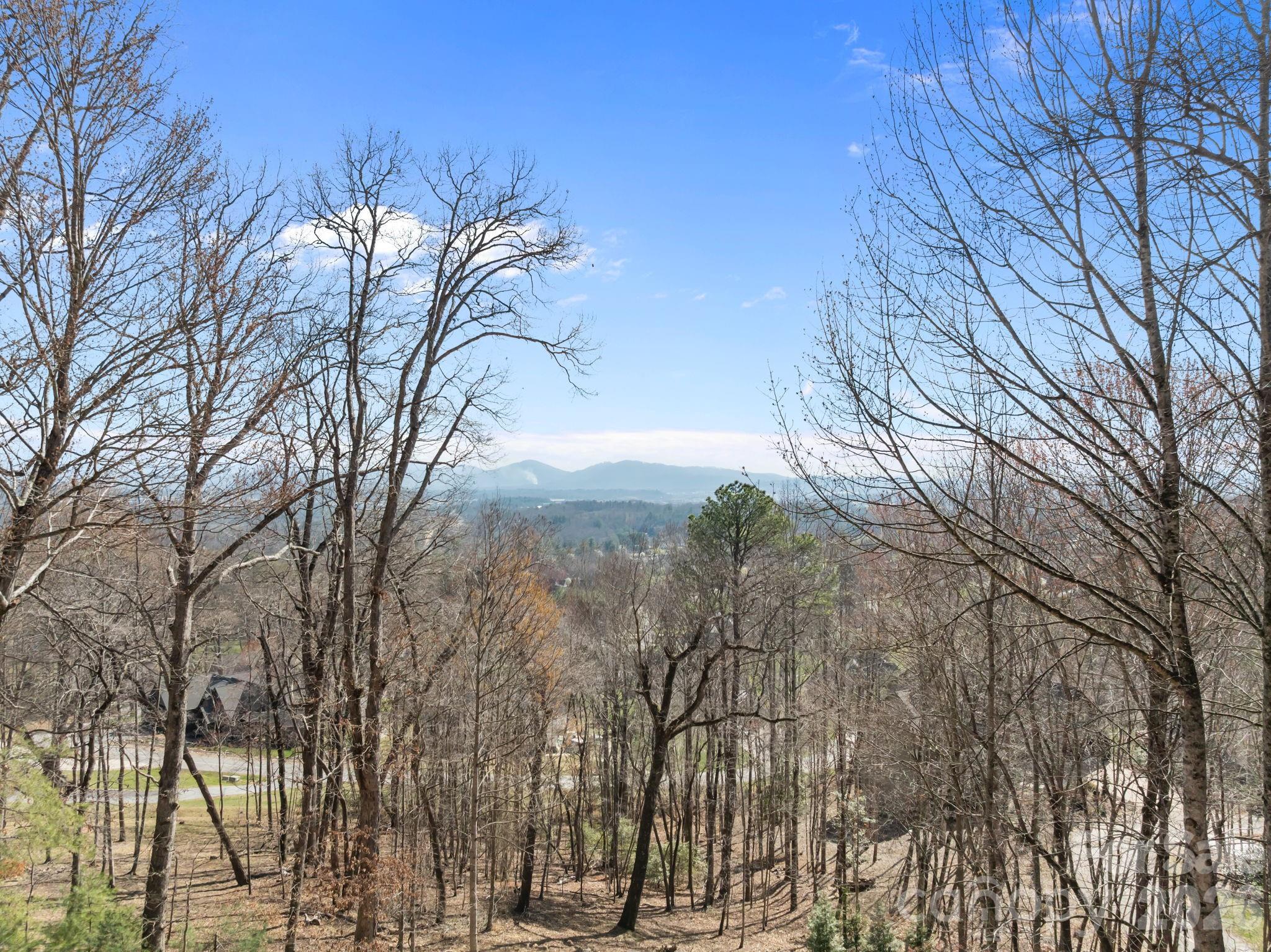 1105 High Vista Drive — Mills River