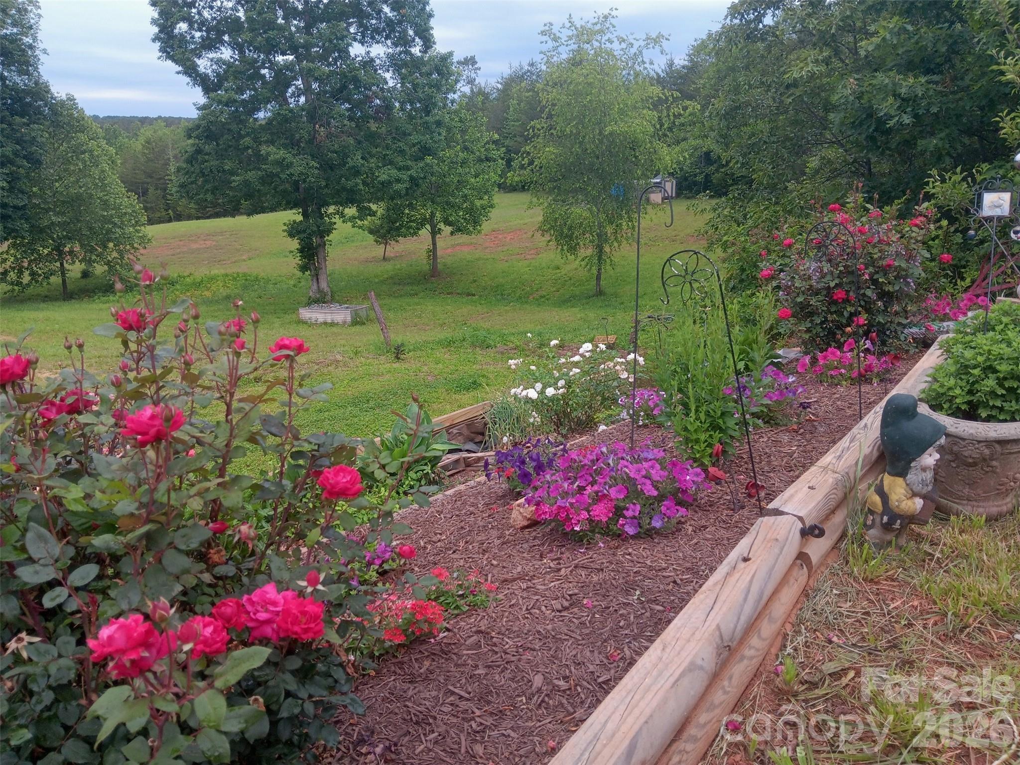 303 Terry Road — Bostic