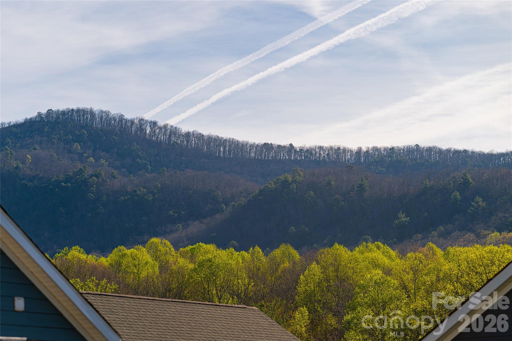 1022 Padgett Place — Black Mountain