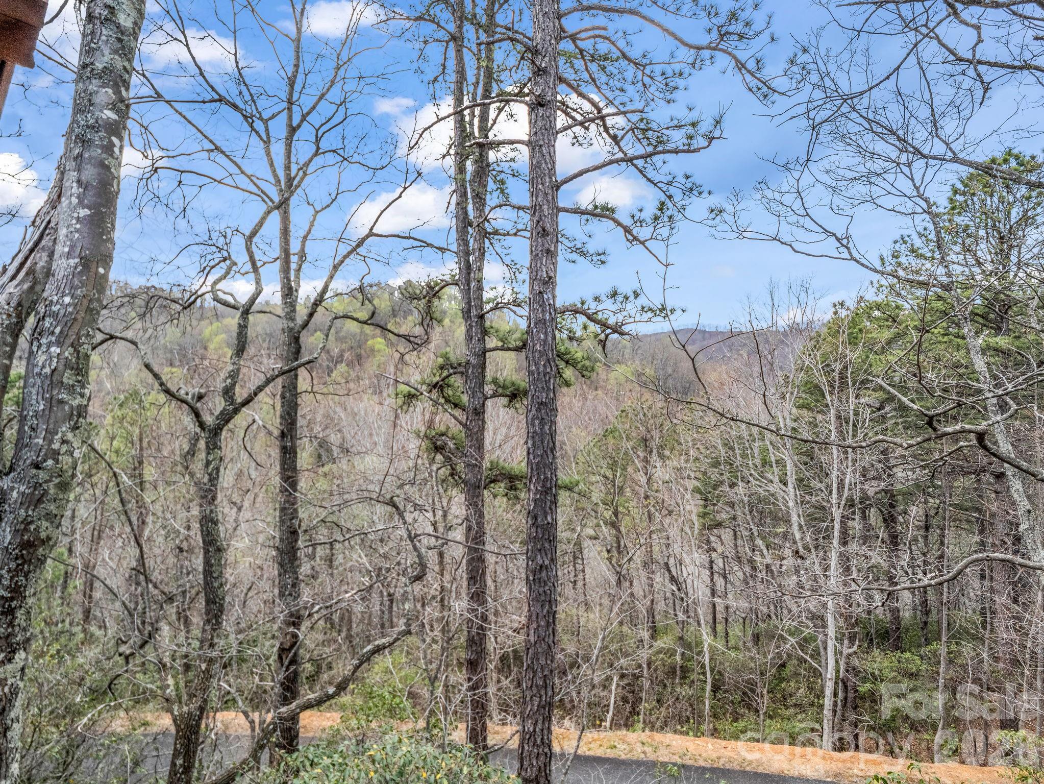 294 Verbena Drive — Black Mountain