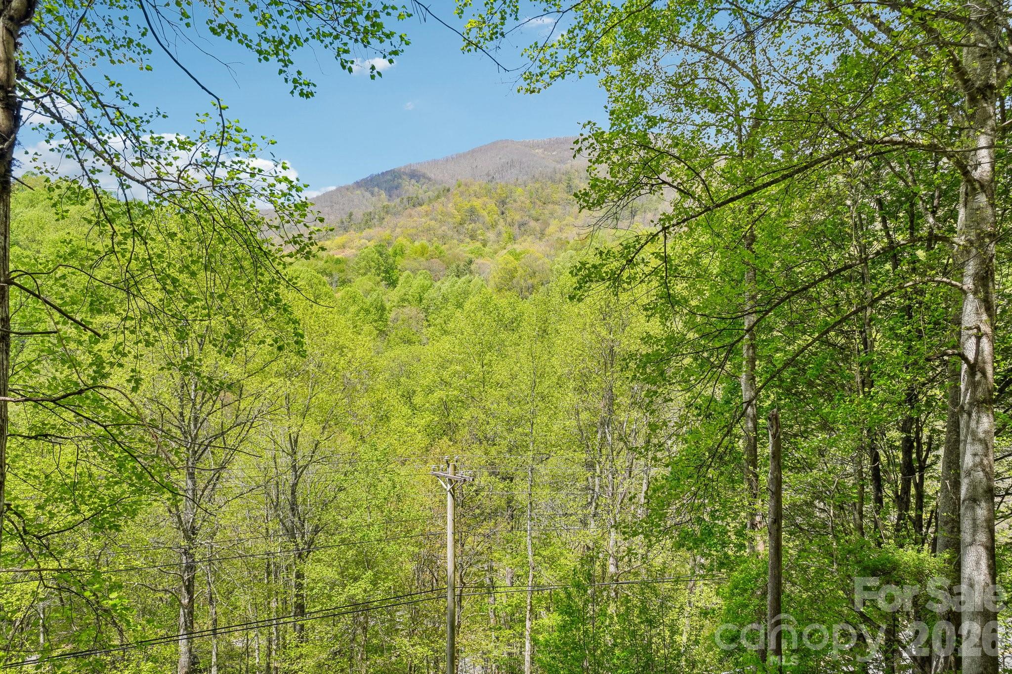 68 Split Rail Drive — Maggie Valley