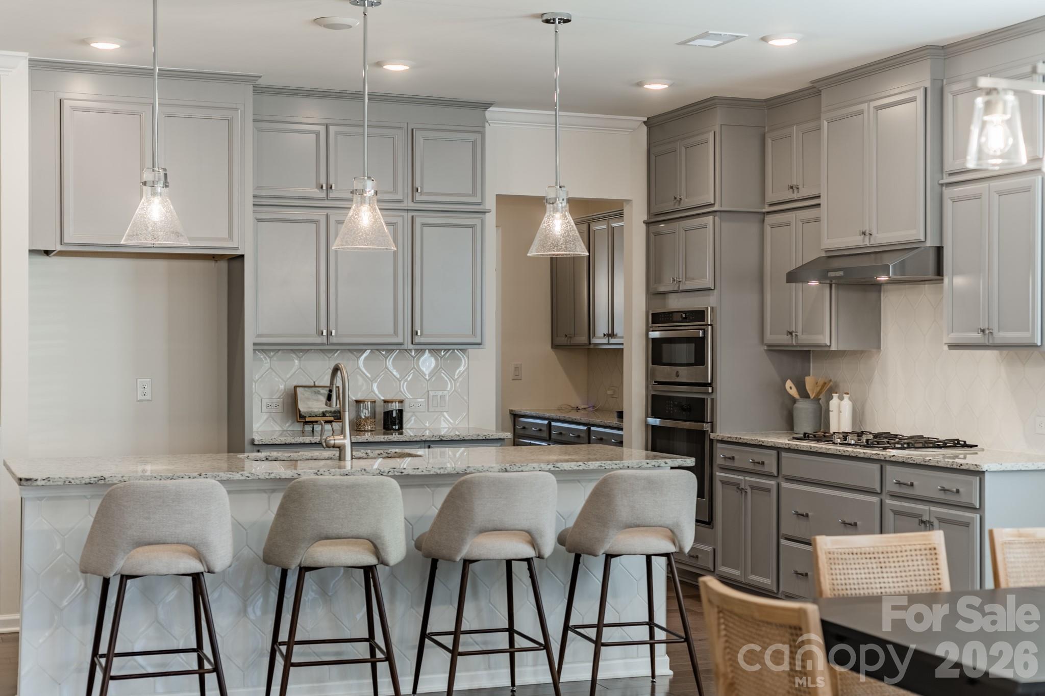 1032 Argentium Way — Waxhaw