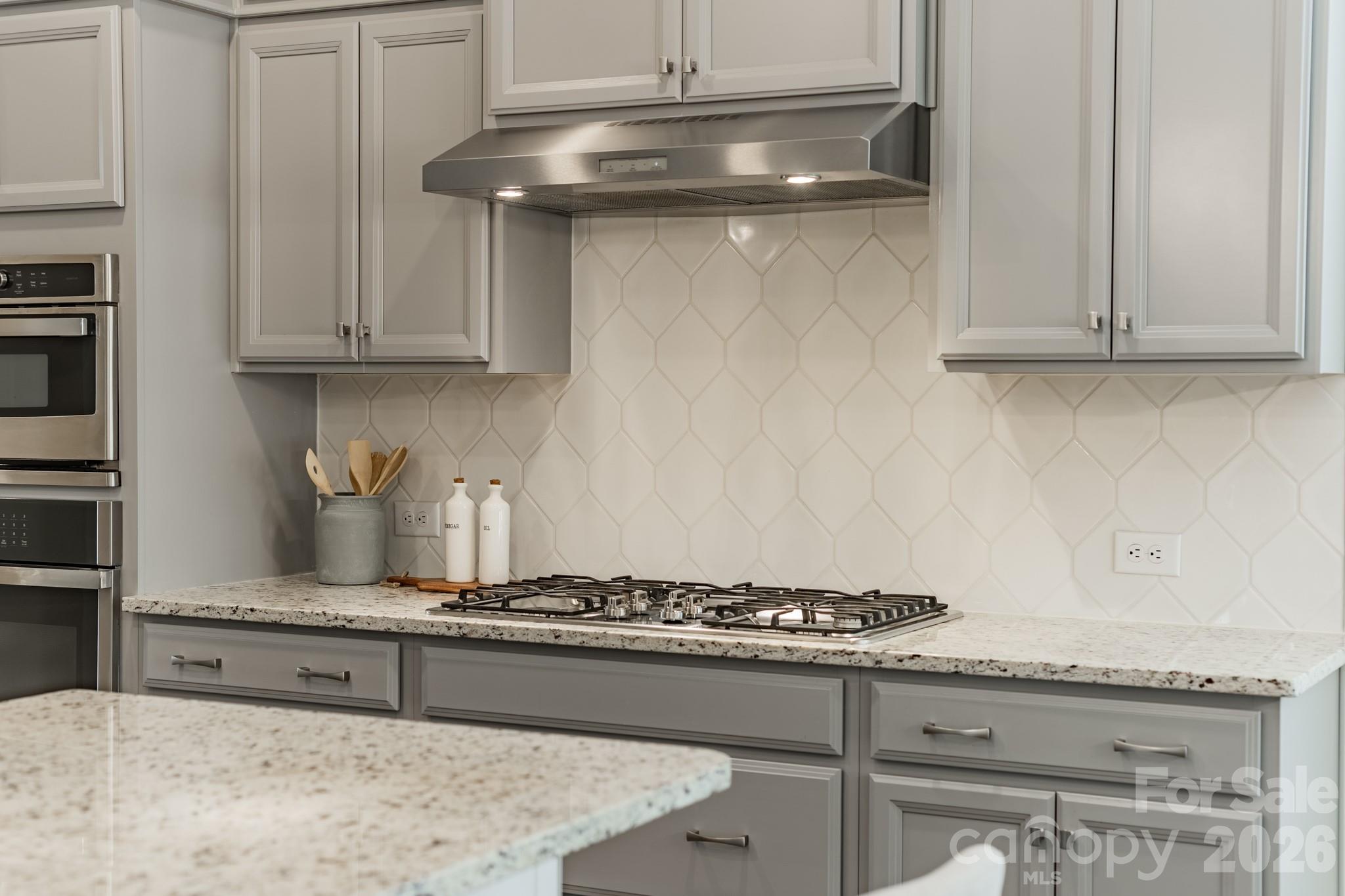 1032 Argentium Way — Waxhaw