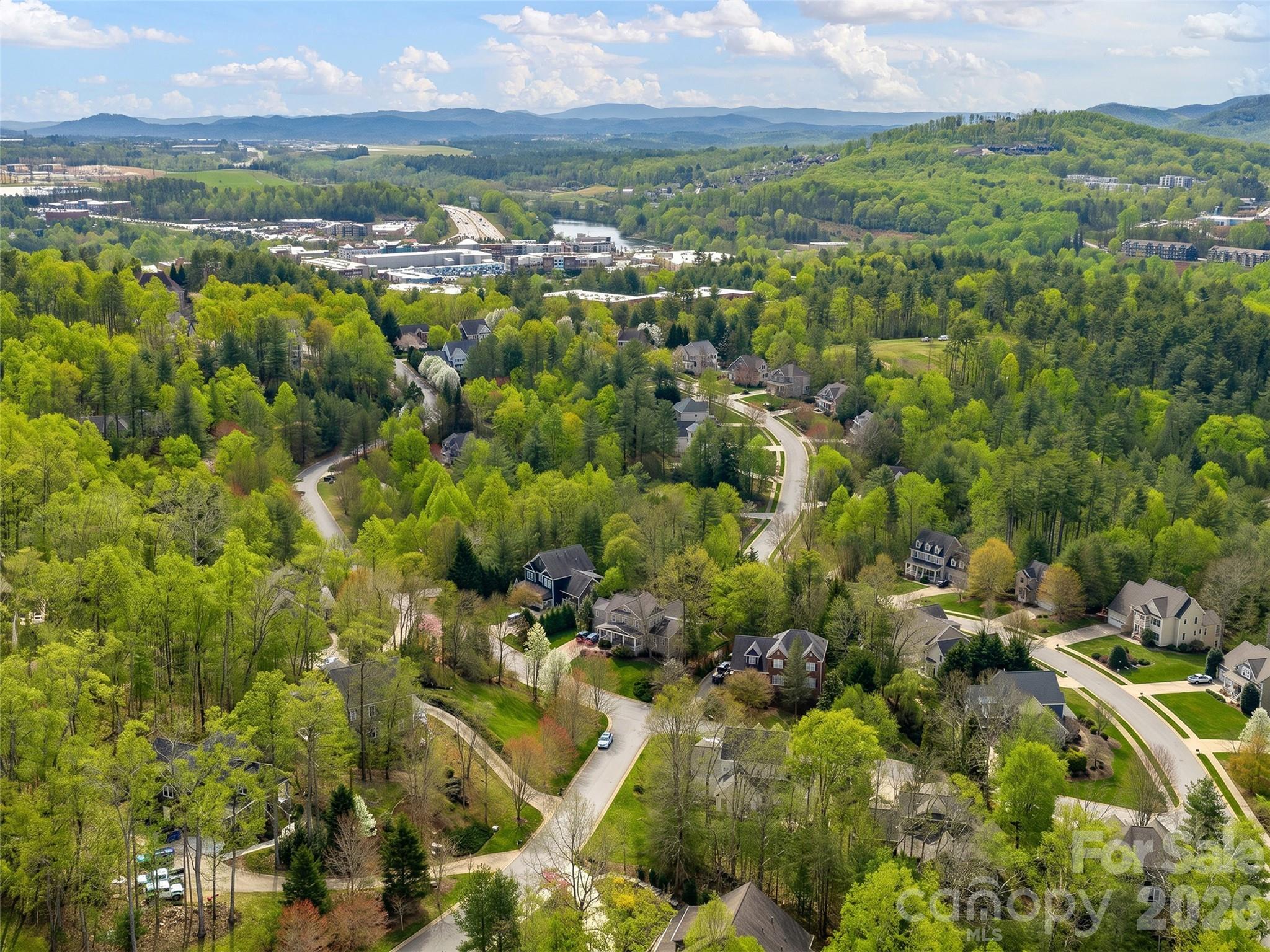 21 Dianthus Drive — Asheville