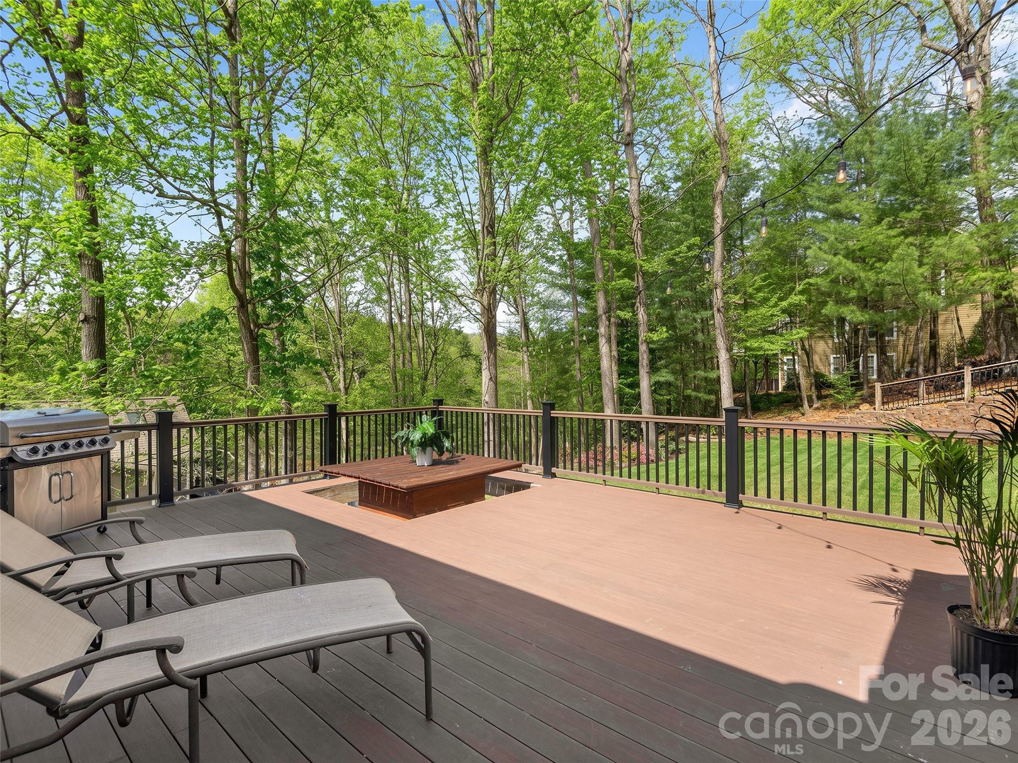 21 Dianthus Drive — Asheville