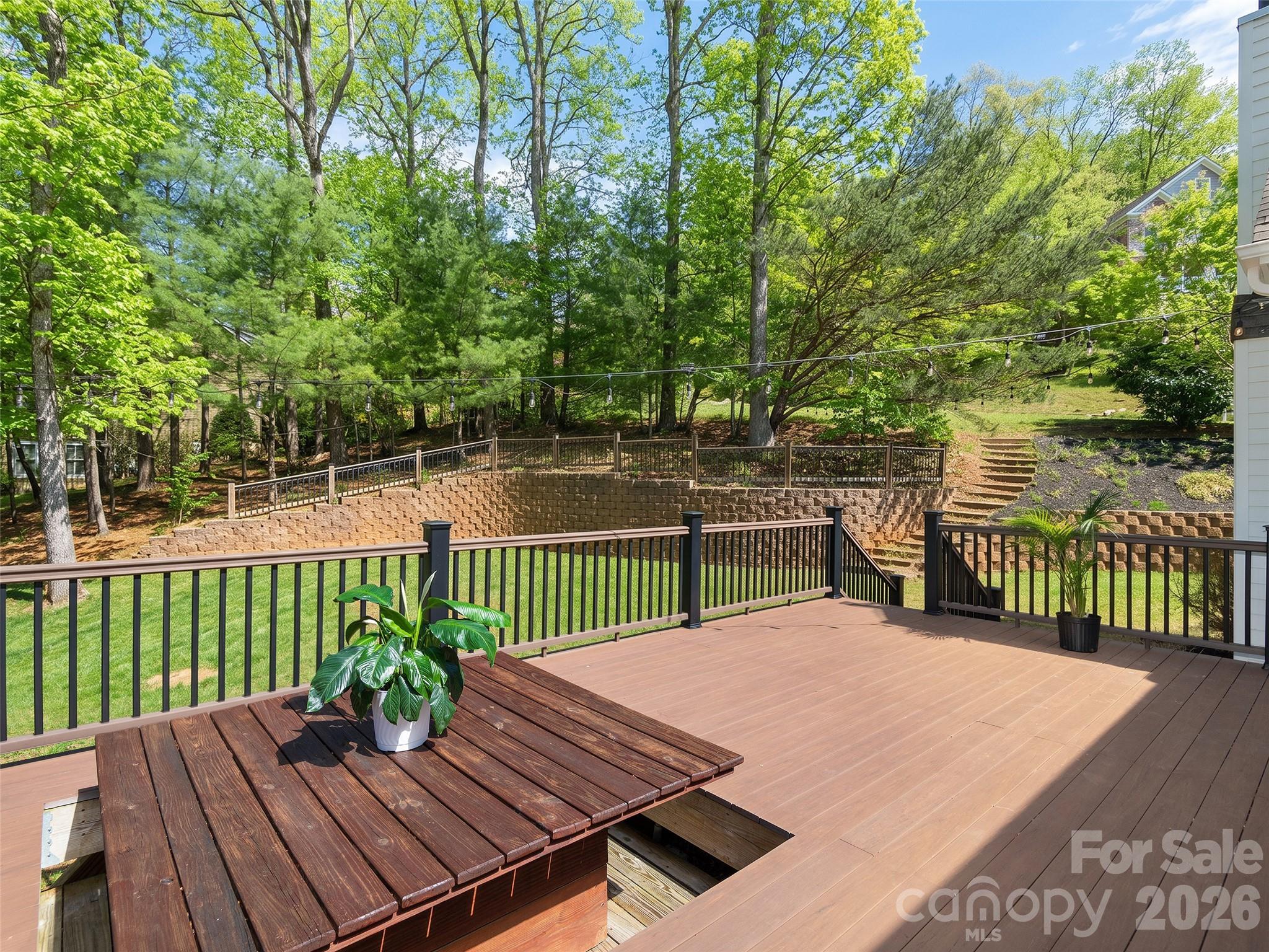 21 Dianthus Drive — Asheville