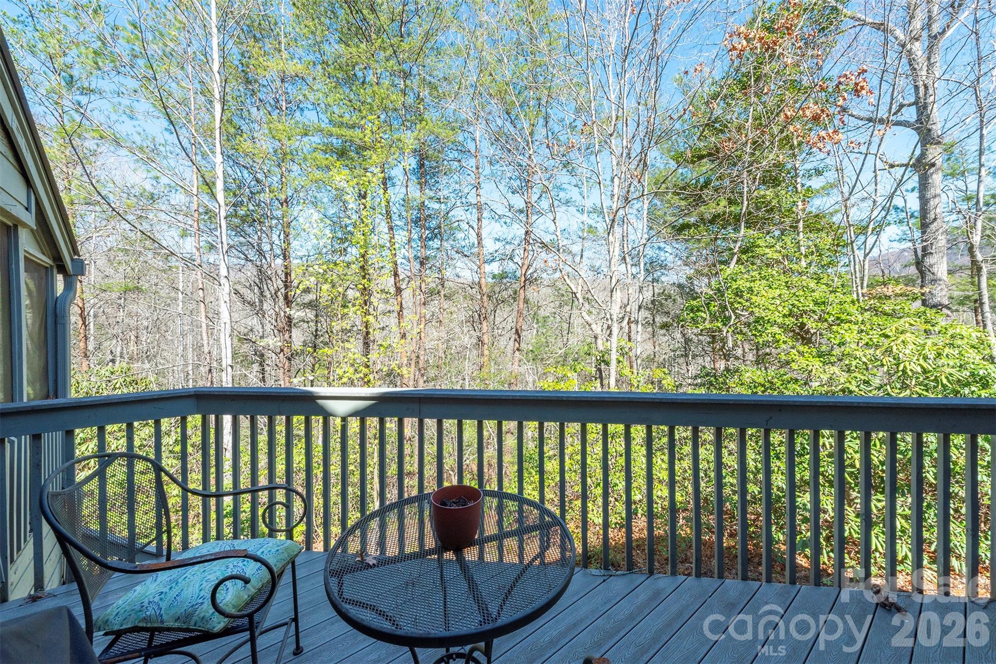 128 Quail Run Court #1626 — Lake Lure