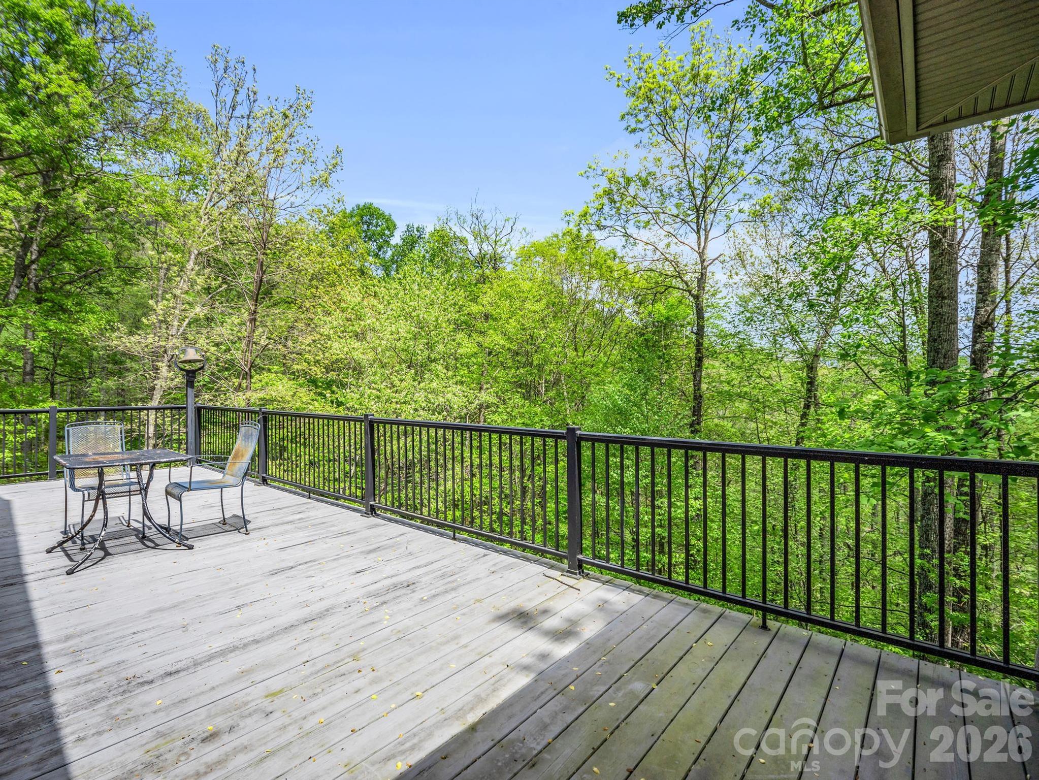30 Laurel Branch Drive — Black Mountain