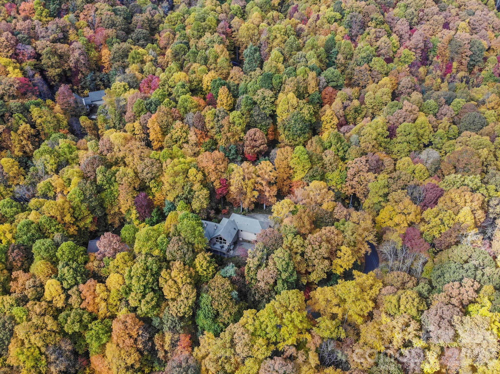 30 Laurel Branch Drive — Black Mountain