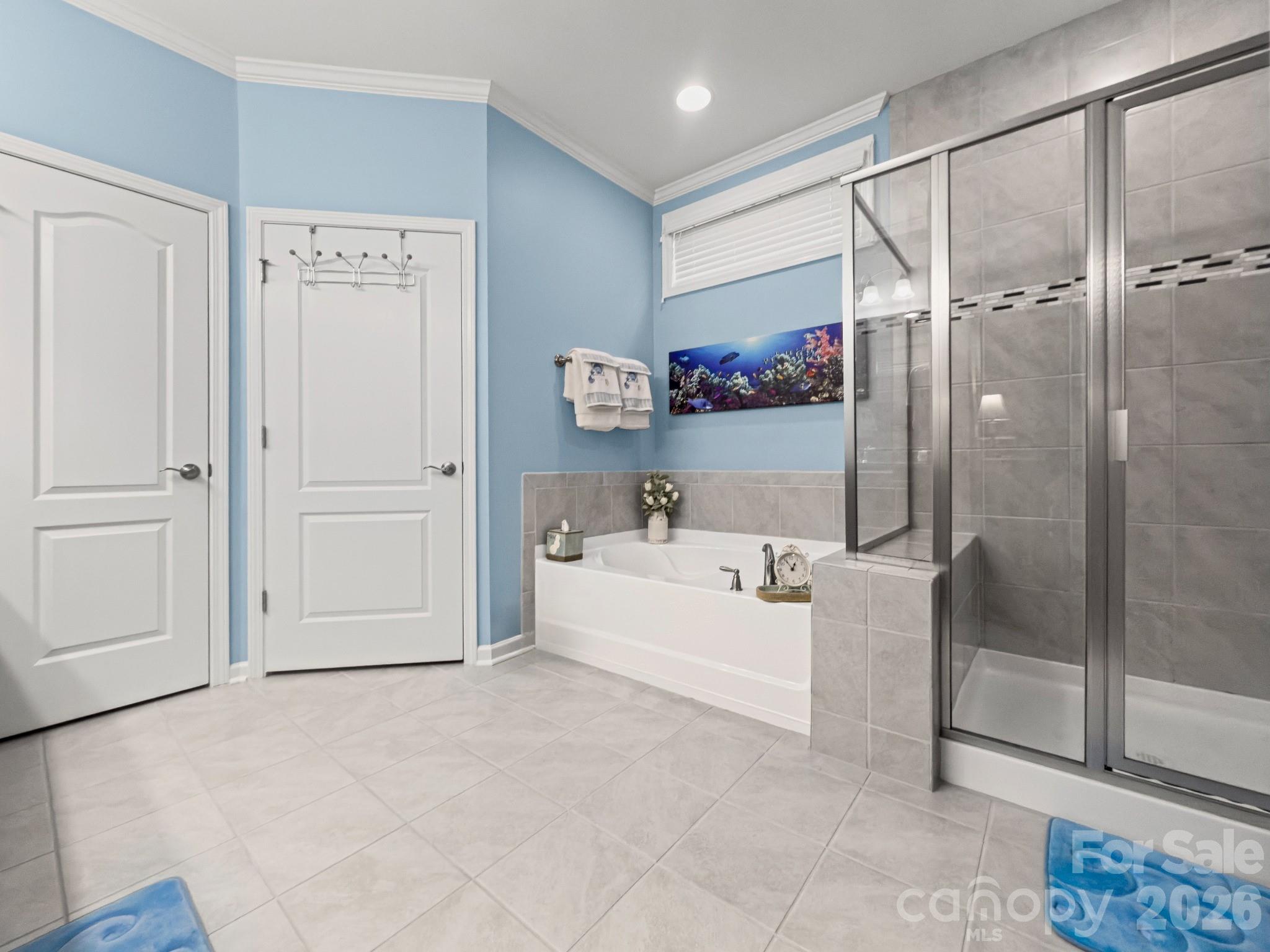 685 Birchway Drive — Fort Mill