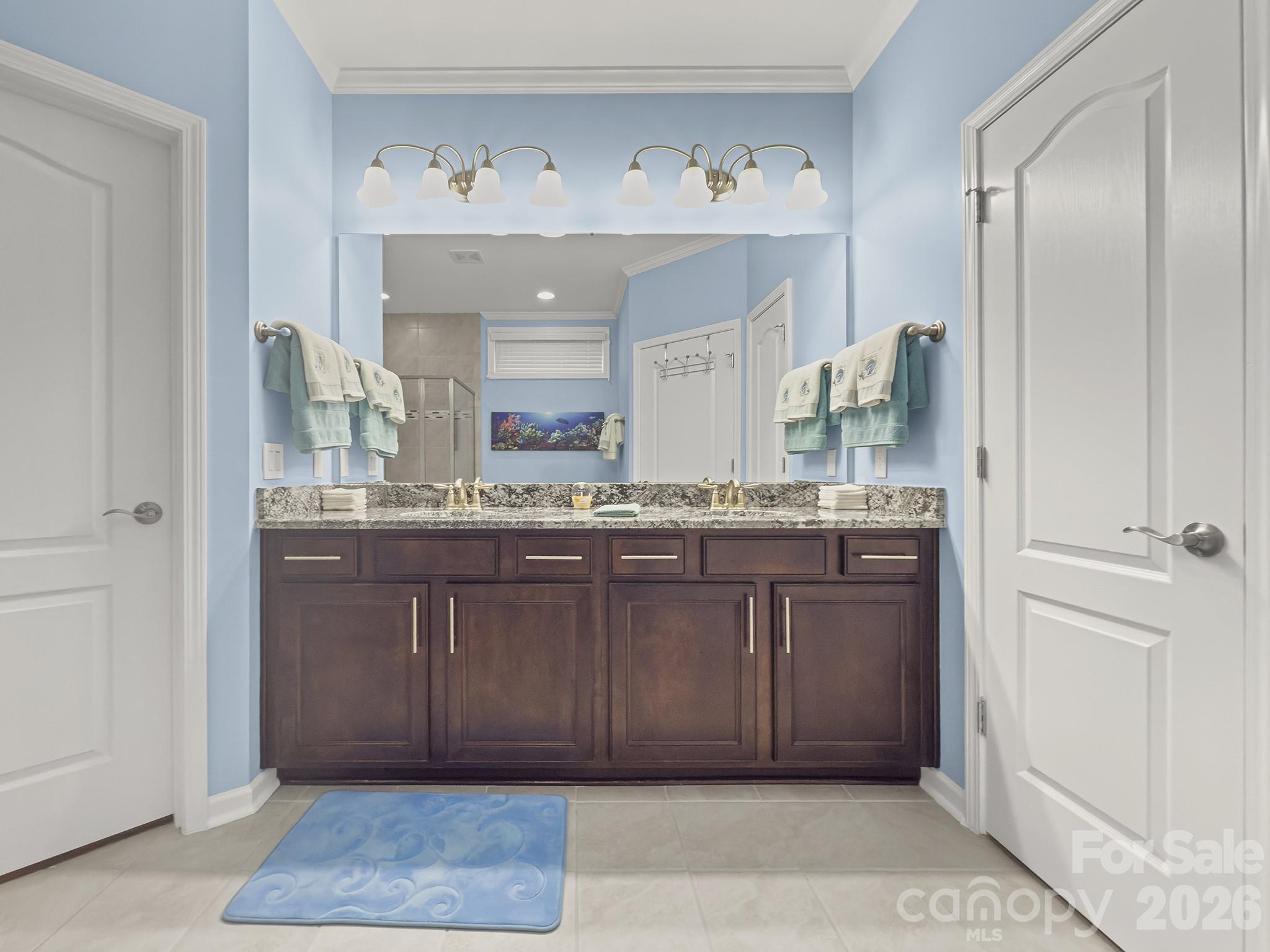685 Birchway Drive — Fort Mill