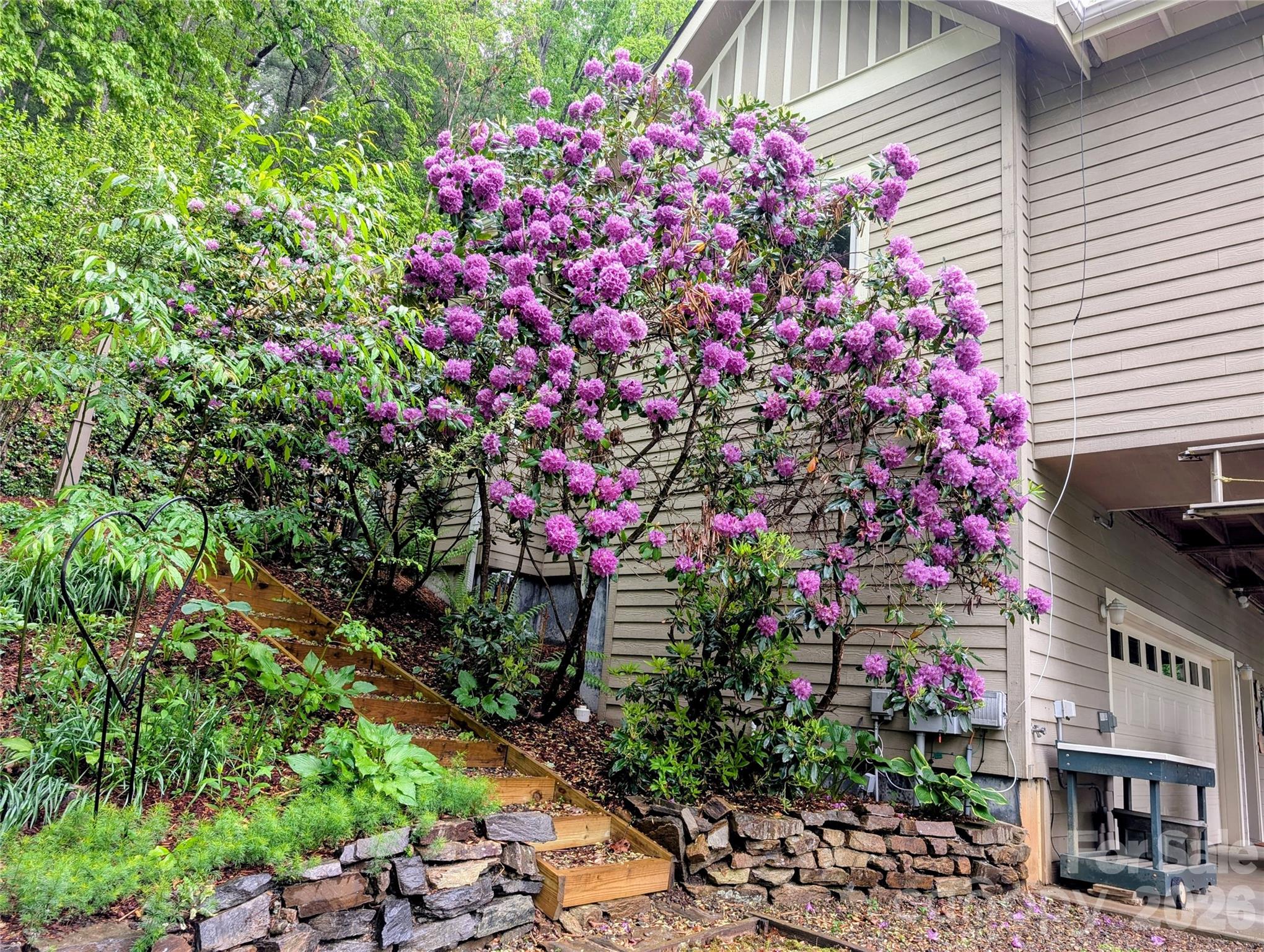 204 Briarcliff None #5 — Asheville