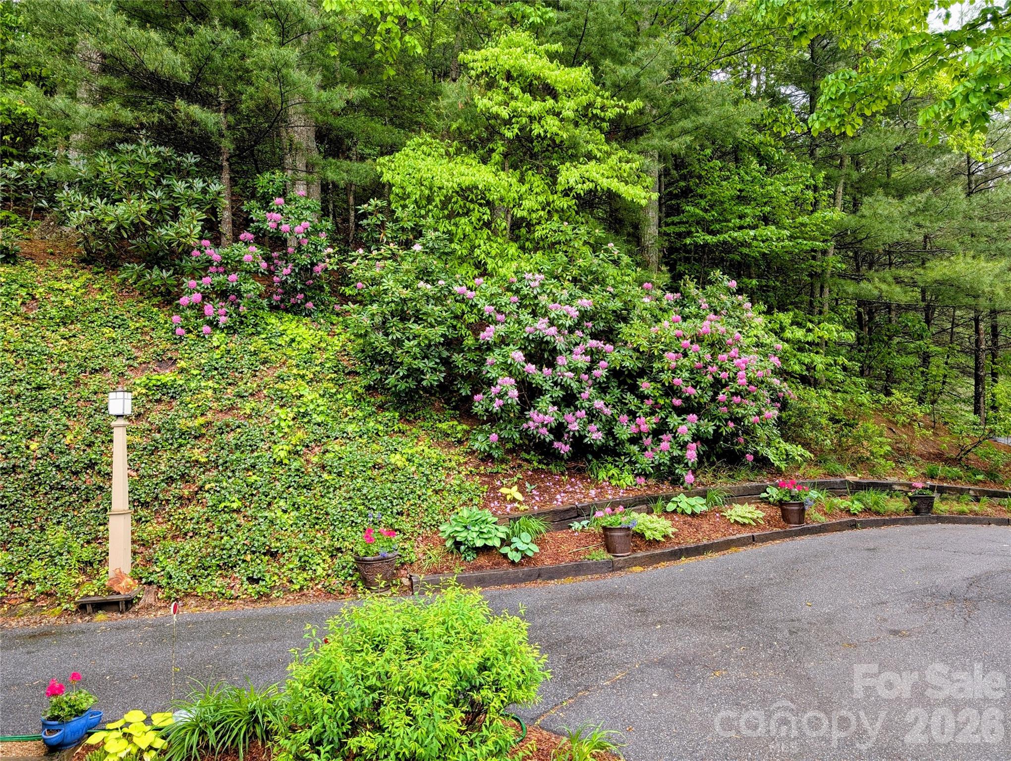 204 Briarcliff None #5 — Asheville