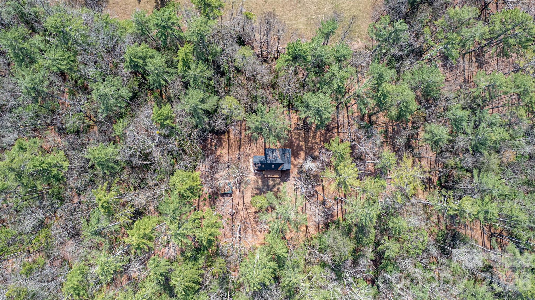 261 Maga Lane — Brevard