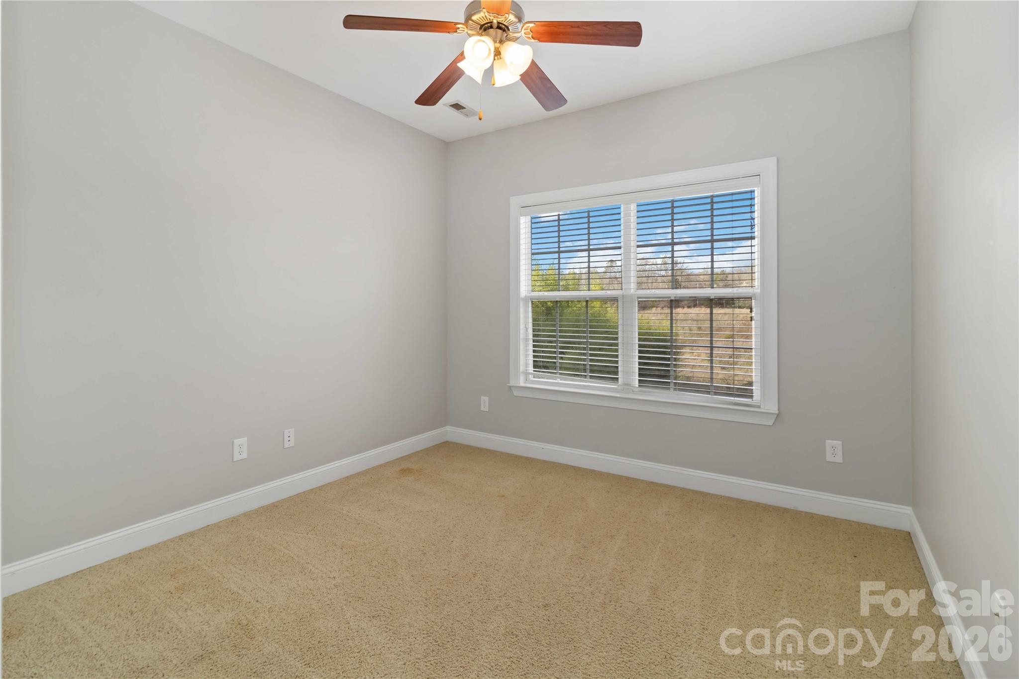3908 Hazel Downe Way — Rock Hill