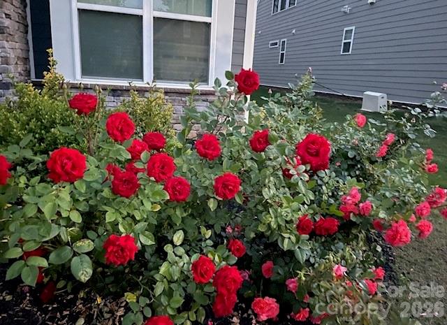 140 Picasso Trail — Mount Holly