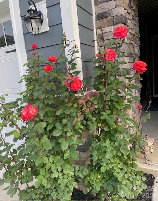 140 Picasso Trail — Mount Holly