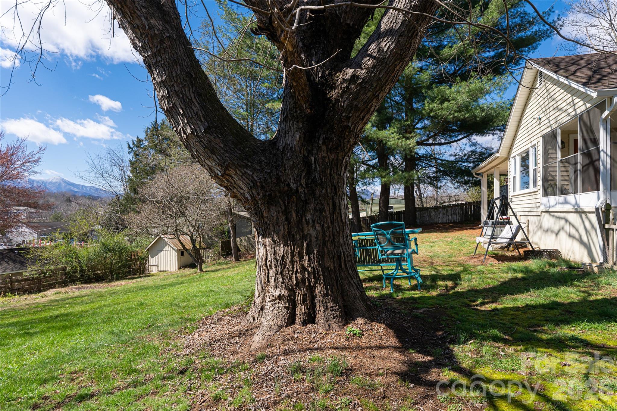 203 Pine Street — Candler