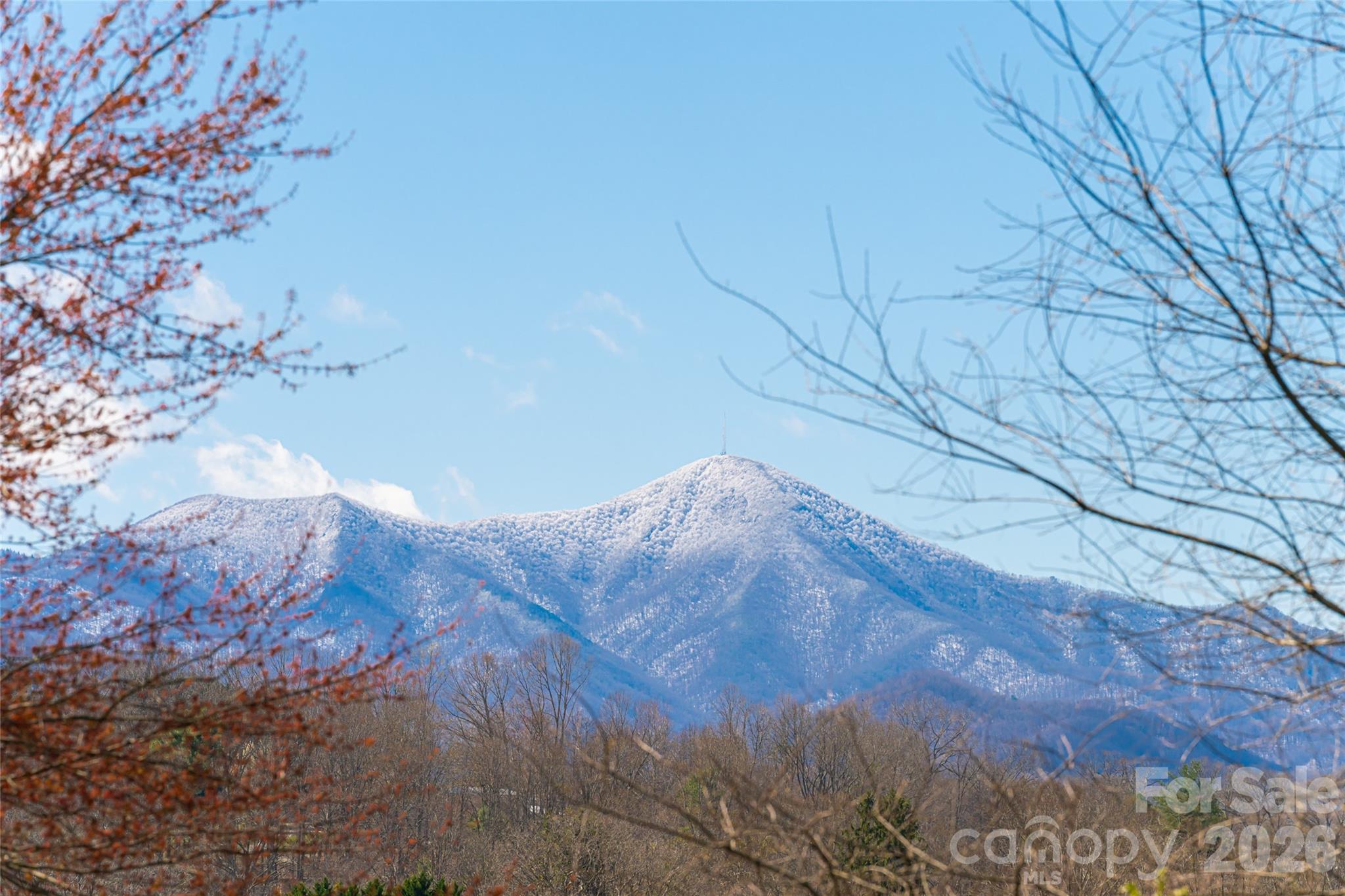203 Pine Street — Candler