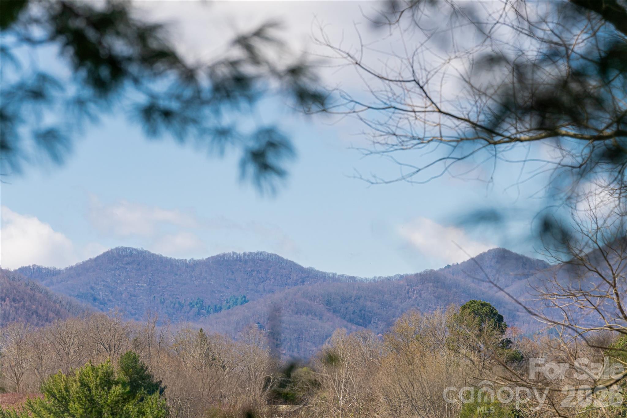 203 Pine Street — Candler