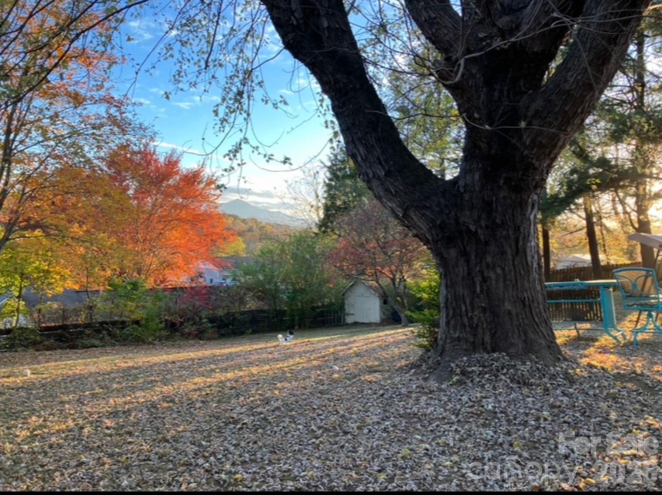 203 Pine Street — Candler