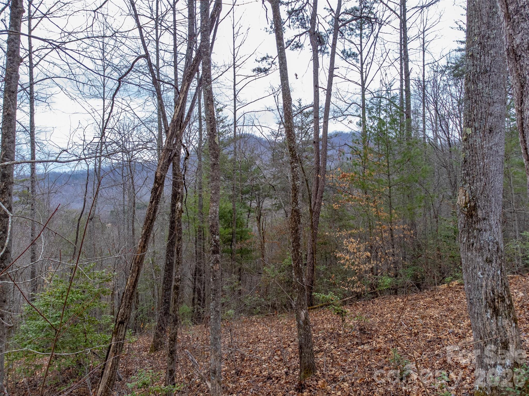 201 Woodhaven Estates — Sylva