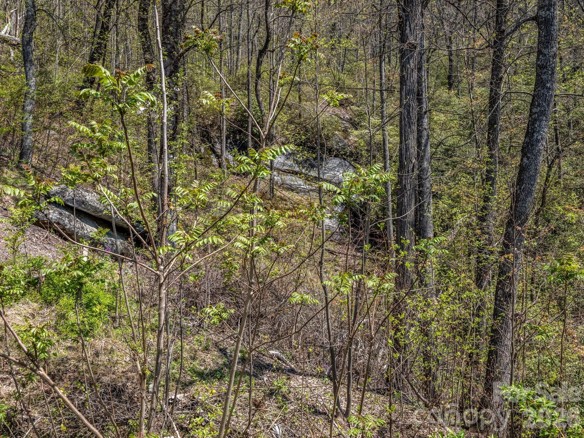 1424 Wolfpen Road — Old Fort