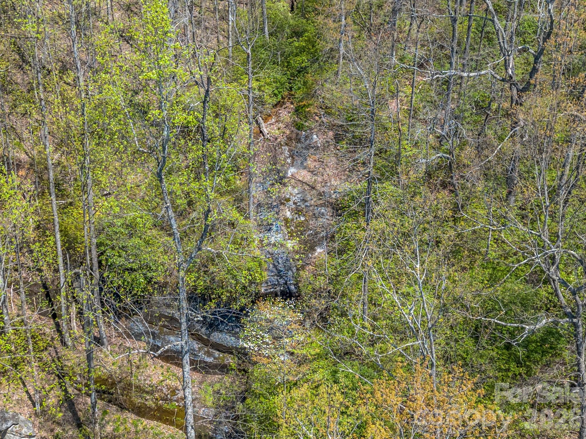 1424 Wolfpen Road — Old Fort