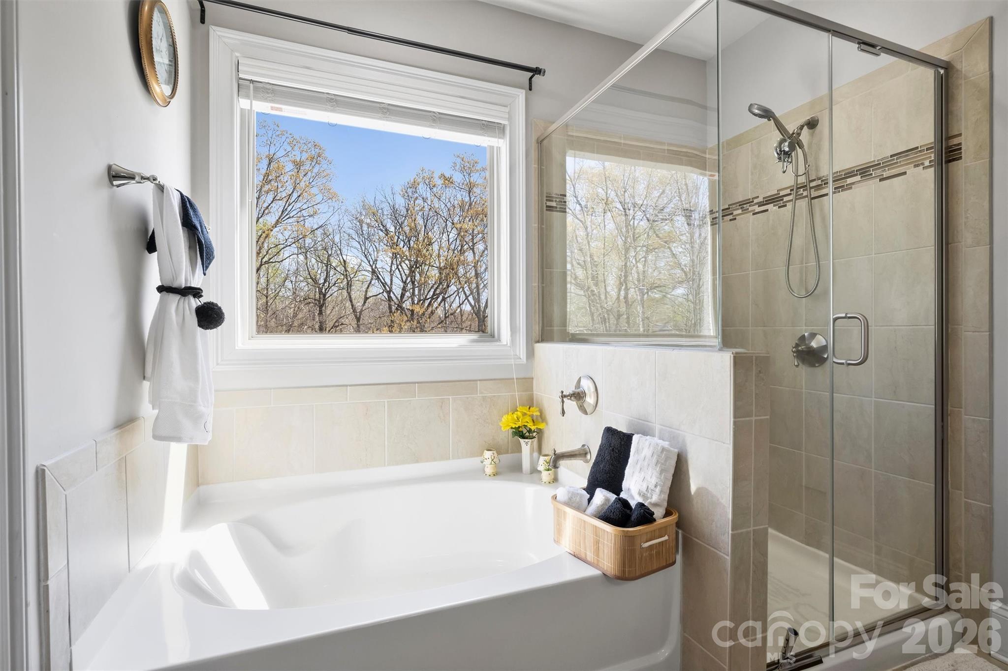 461 Swift Creek Cove — Clover