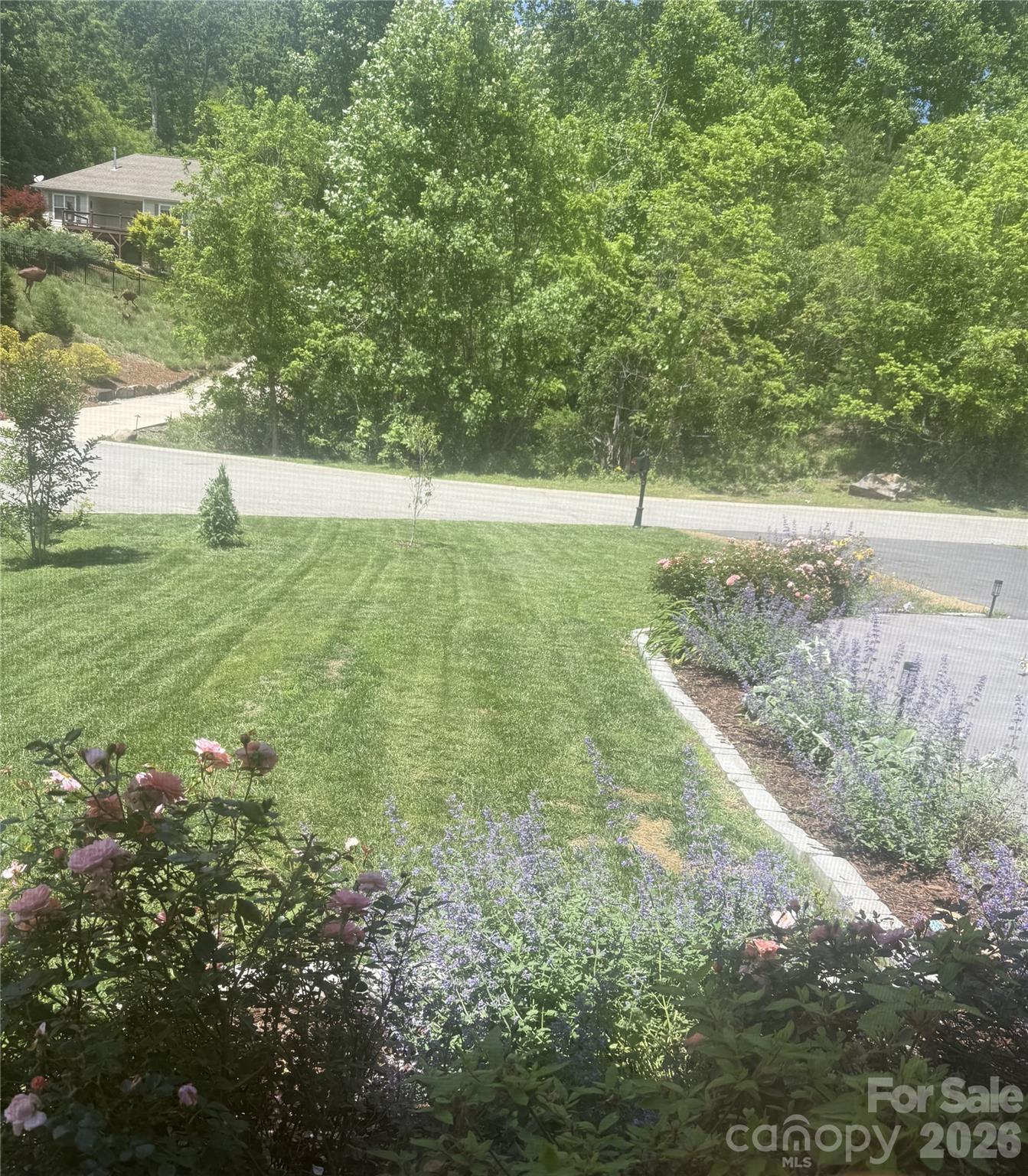 46 Carden Drive #10 — Weaverville