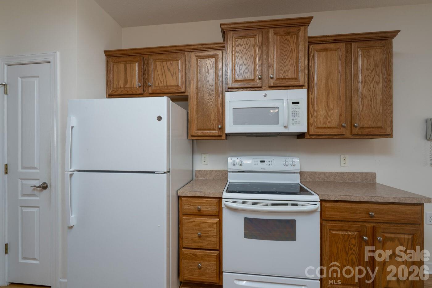 115 River Birch Drive — Salisbury