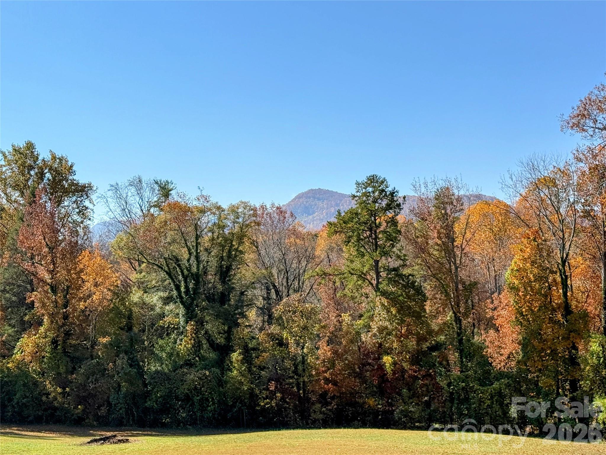 979 Howard Gap Road — Tryon