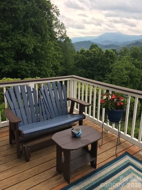 770 Discovery Place — Sylva