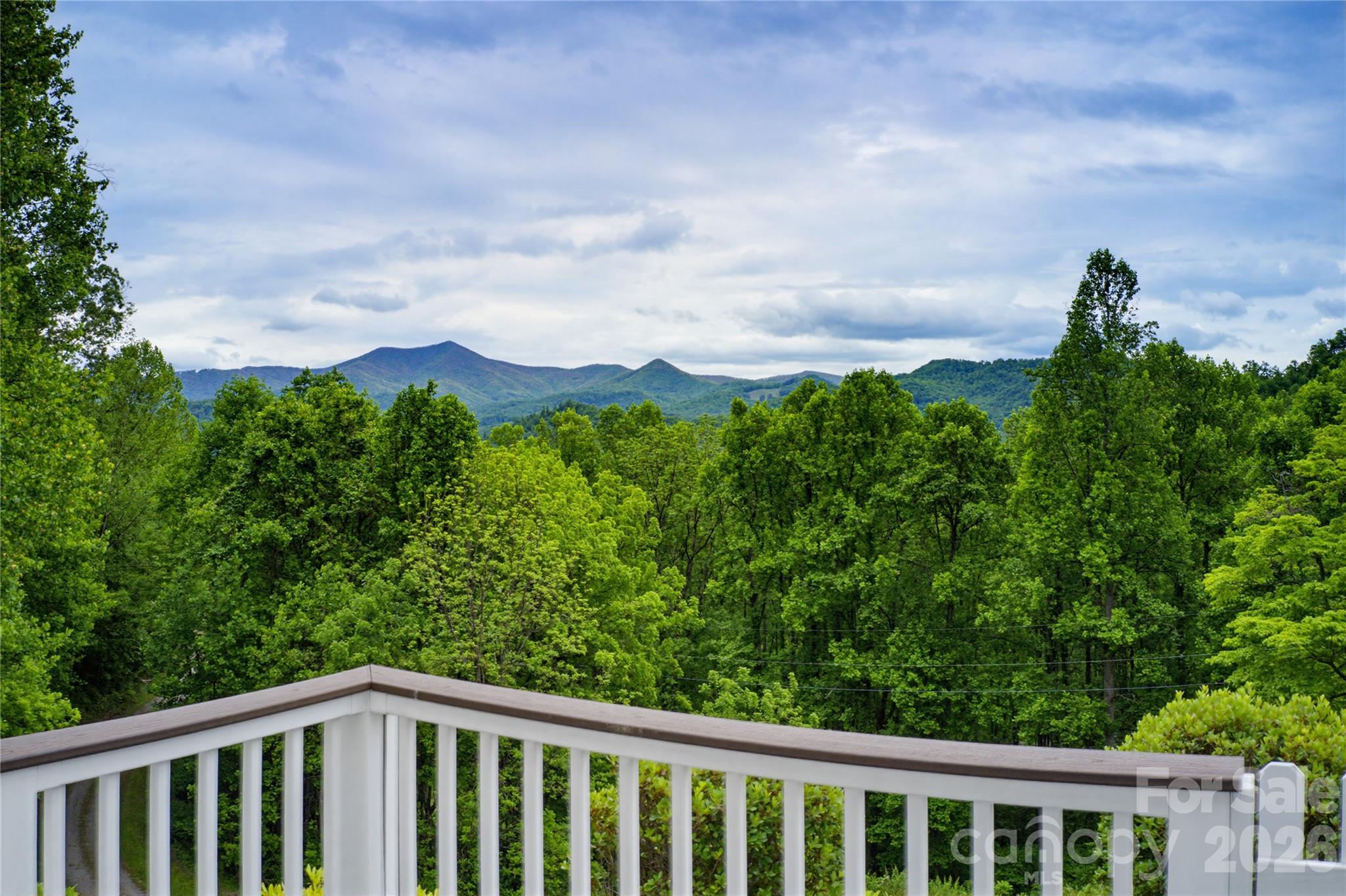 770 Discovery Place — Sylva