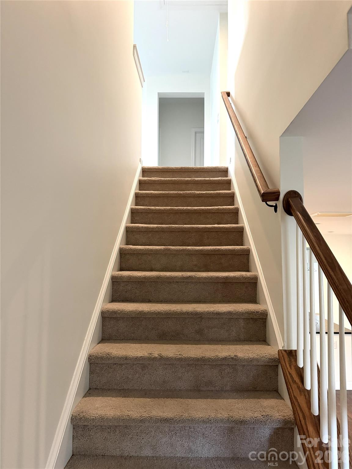 4621 Collingham Drive — Charlotte