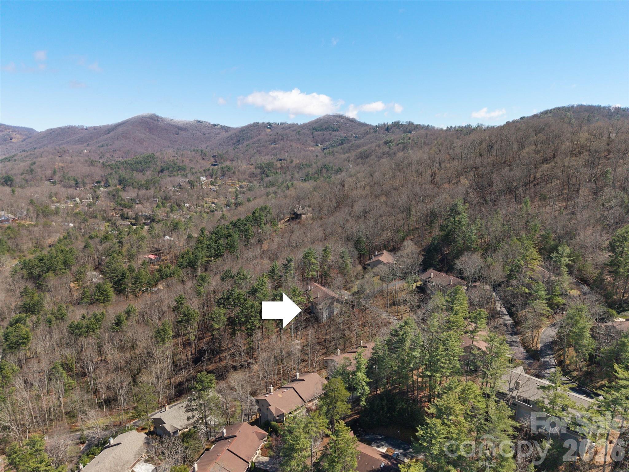 3501 Timber Trail — Asheville