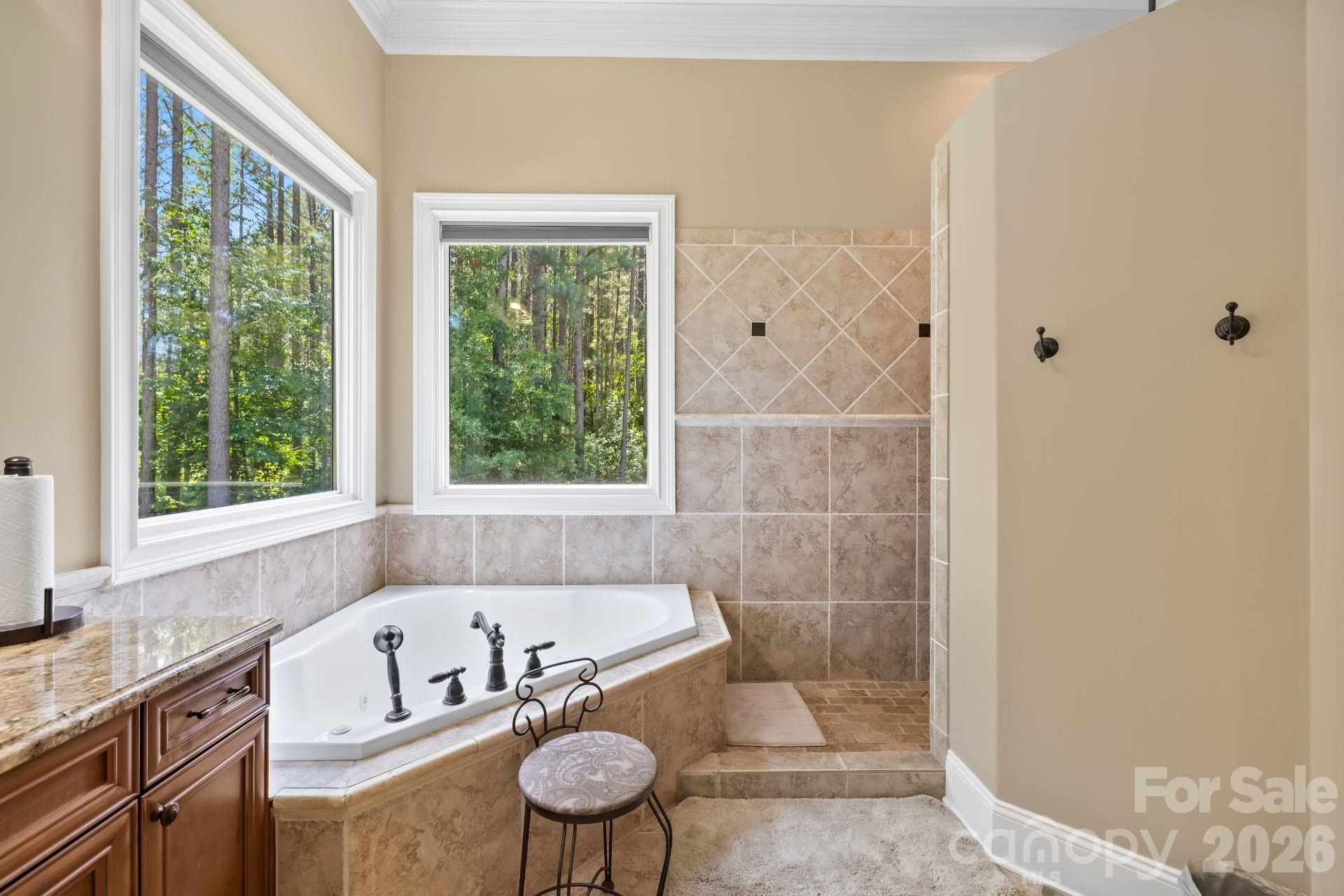 168 Blue Ridge Trail — Mooresville