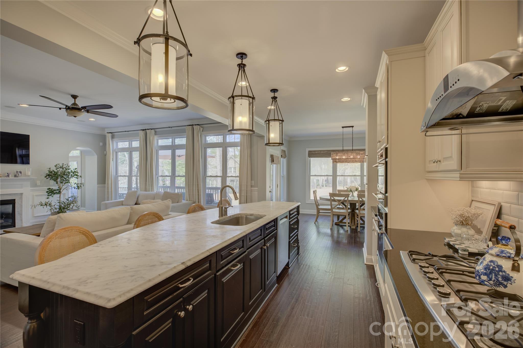 13203 Coyote Creek Court — Charlotte