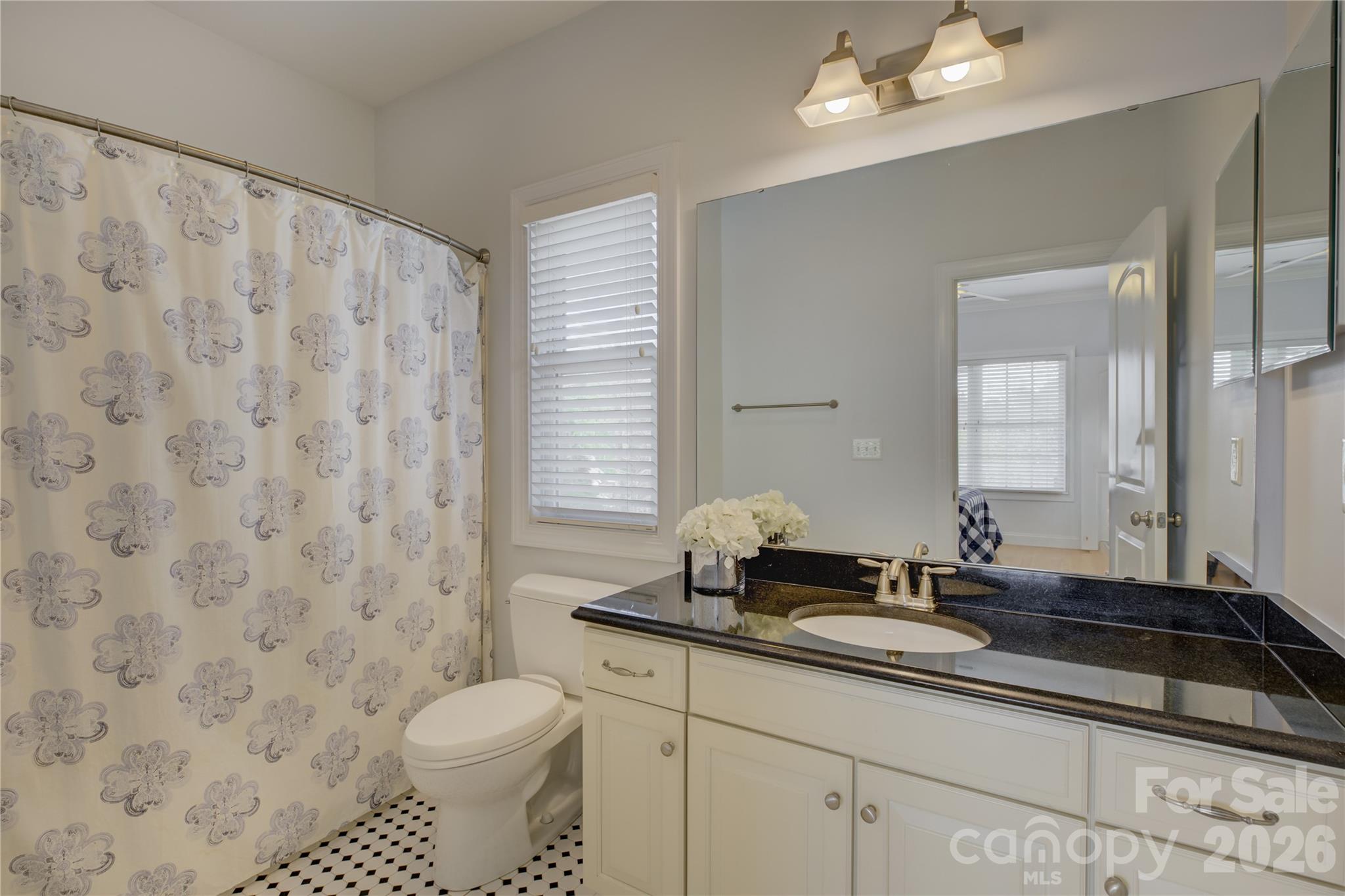 13203 Coyote Creek Court — Charlotte