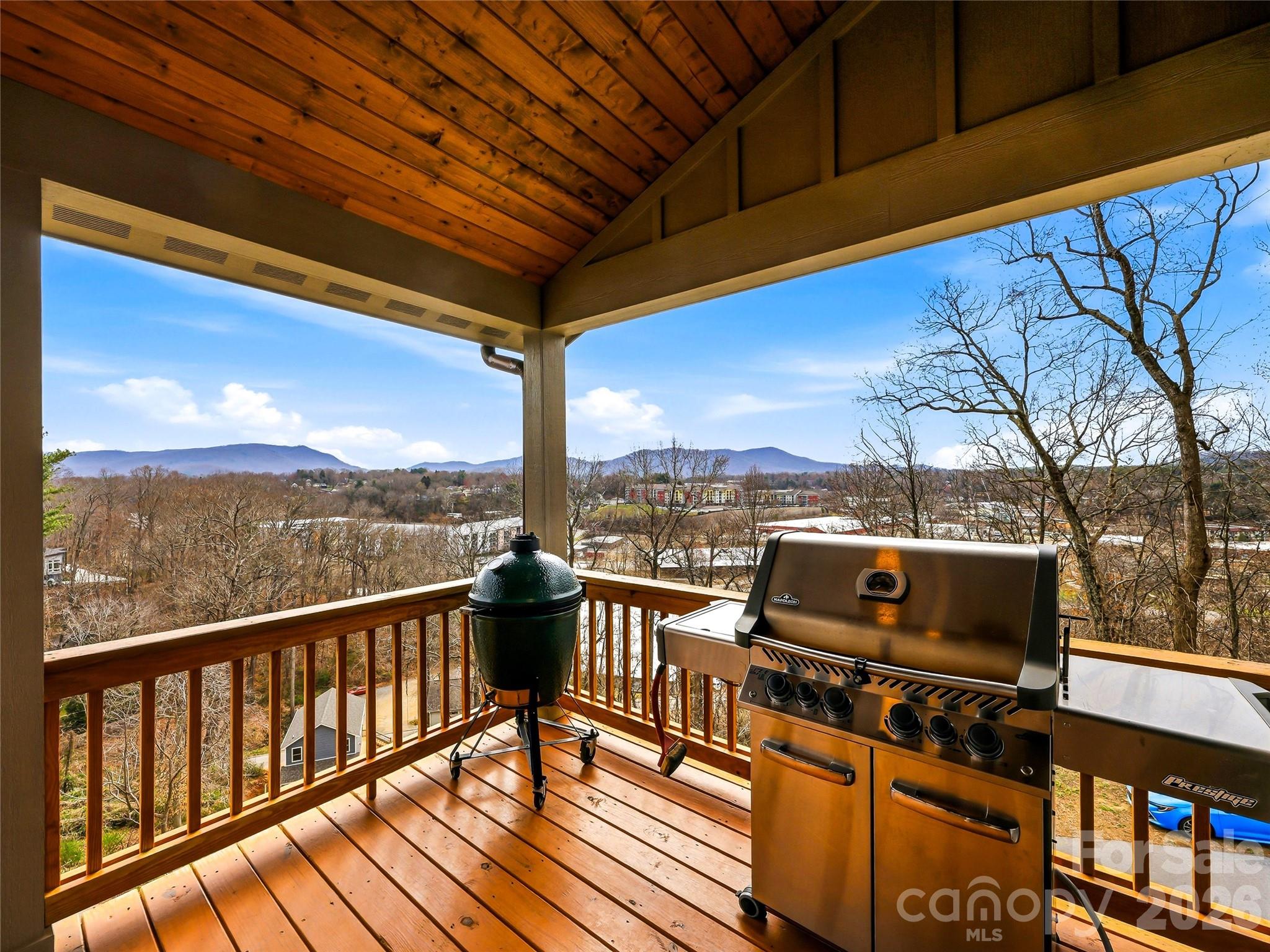 80 Caledonia Road — Asheville