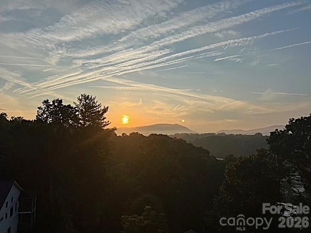 80 Caledonia Road — Asheville