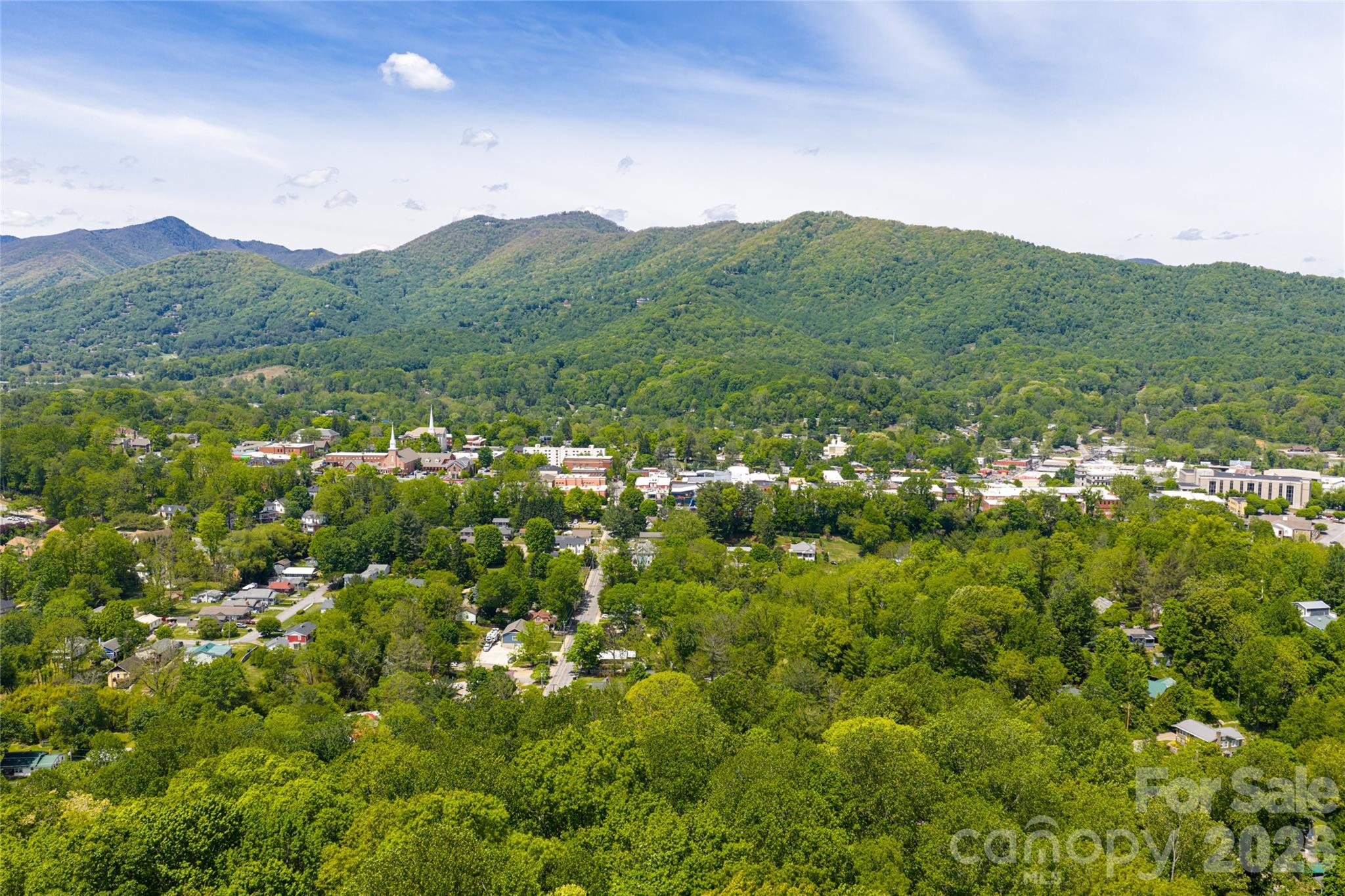 147 Preservation Way — Waynesville