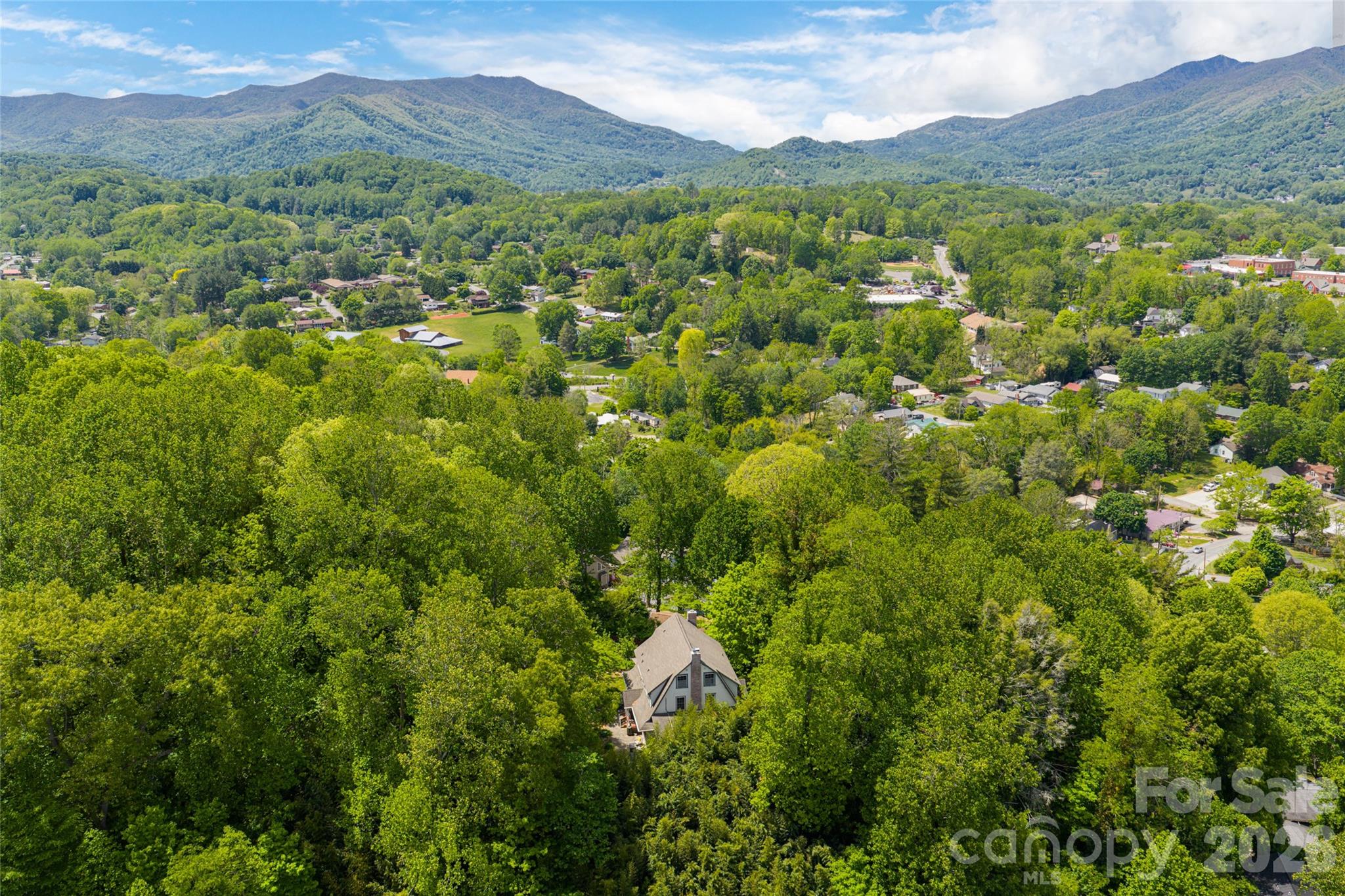147 Preservation Way — Waynesville