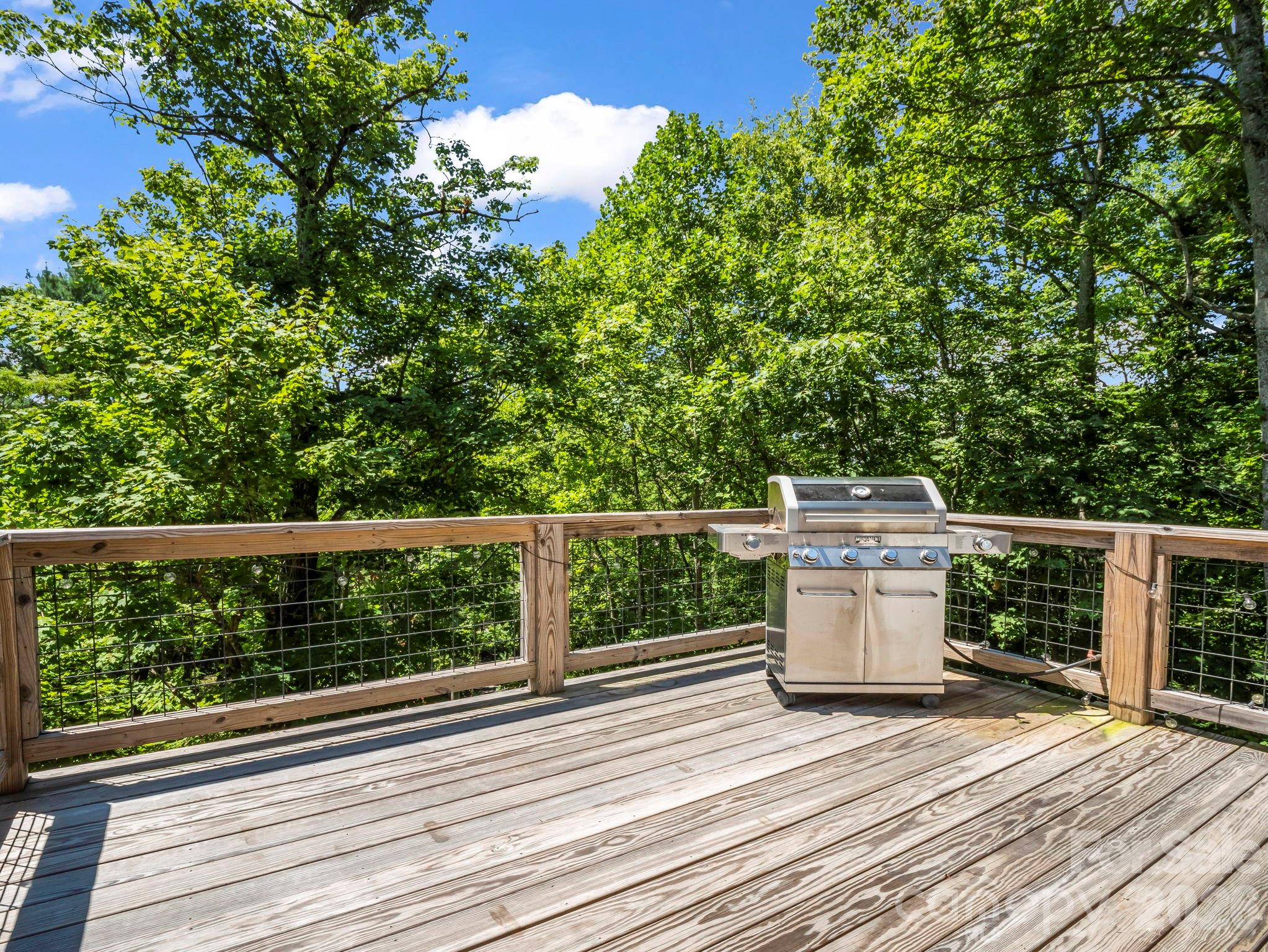38 Scenic View Drive — Hendersonville