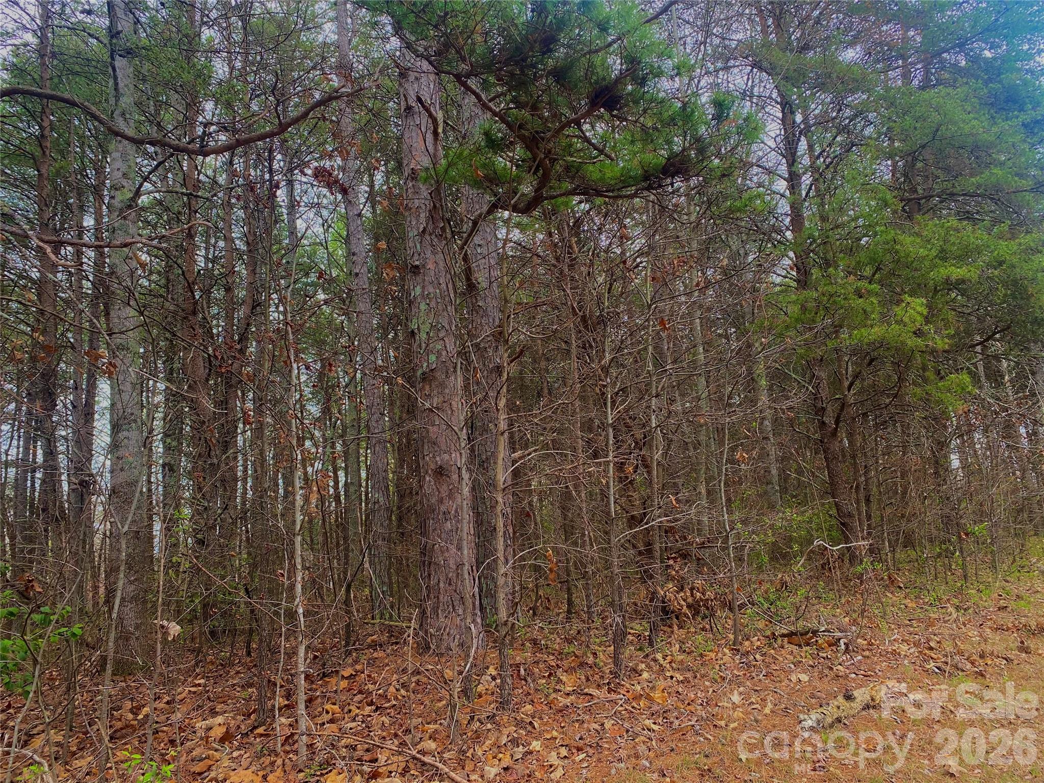 302 Lewis Ferry Road — Statesville