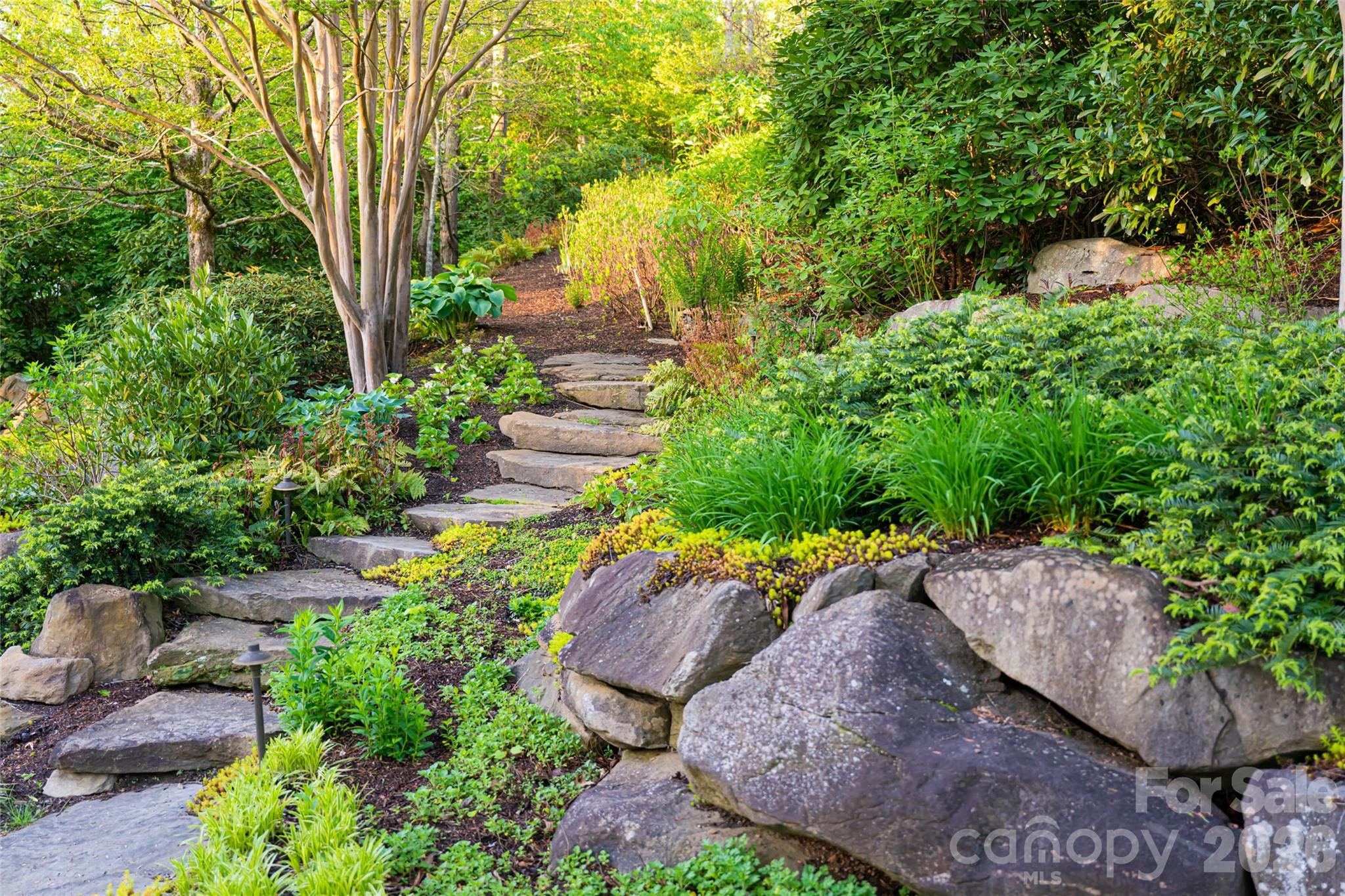 66 N Deerhaven Lane — Asheville