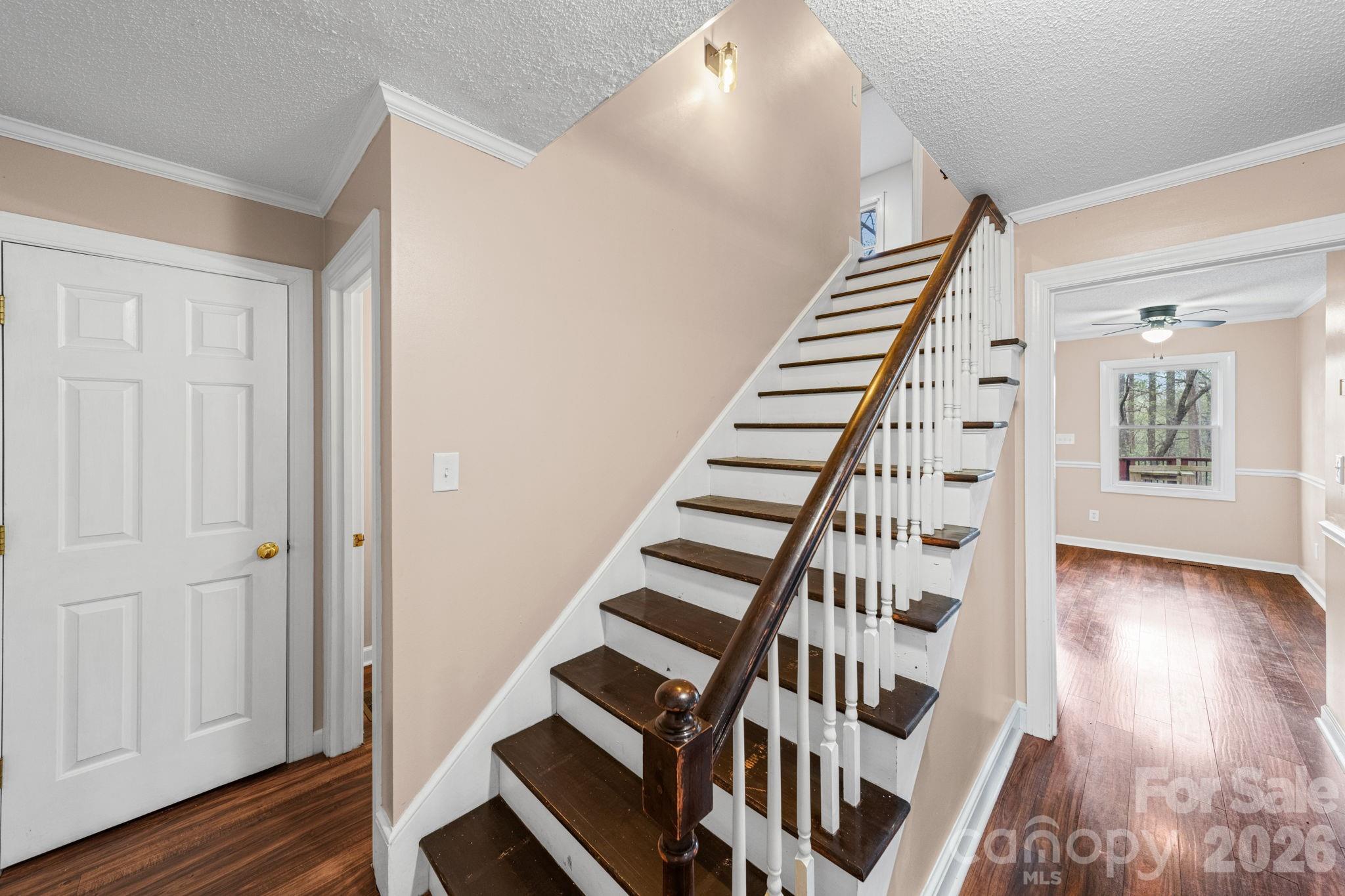 200 Maple Court — Lexington